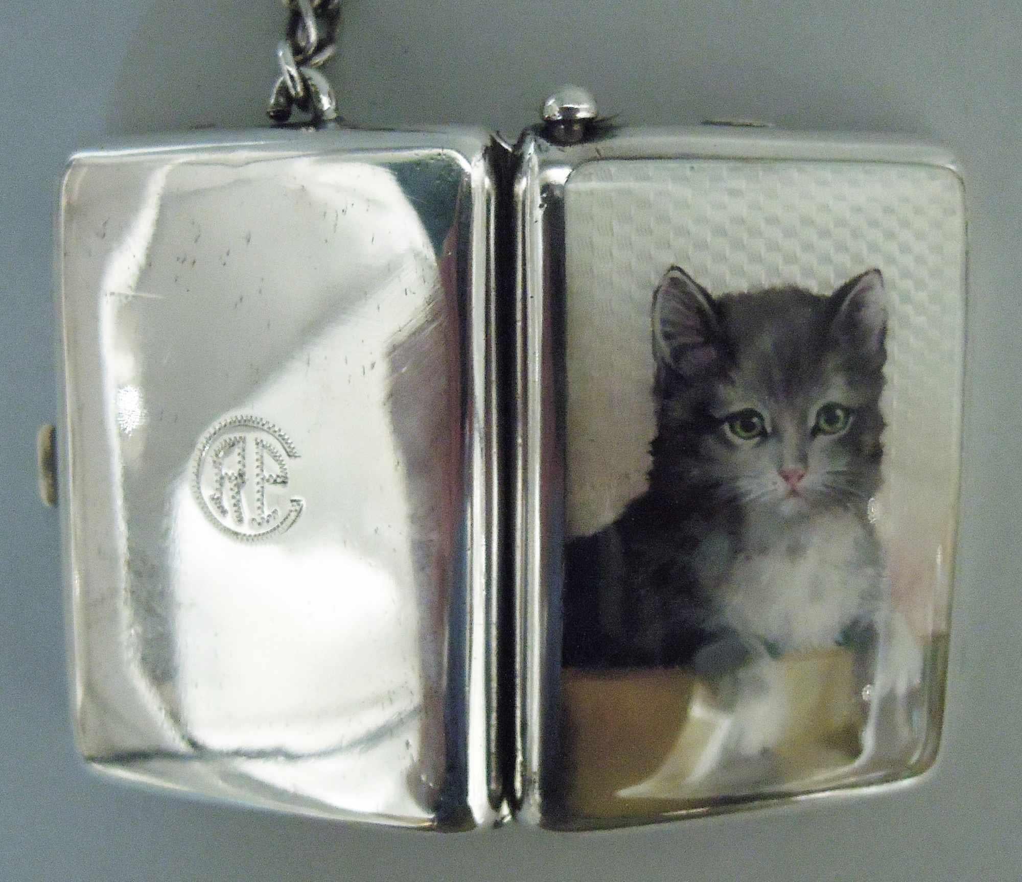 Edwardian Antique European Silver and Enamel Sweet & Pretty Kitty Cat Compact