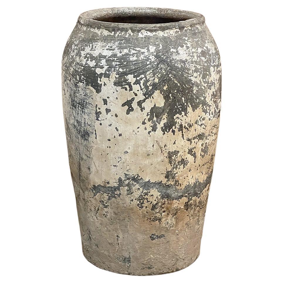 Large Italian Terracotta Olive Jar Jardinière Planter with Family Heraldic Crest at 1stDibs