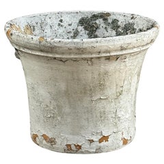 Fioriere e giardiniere