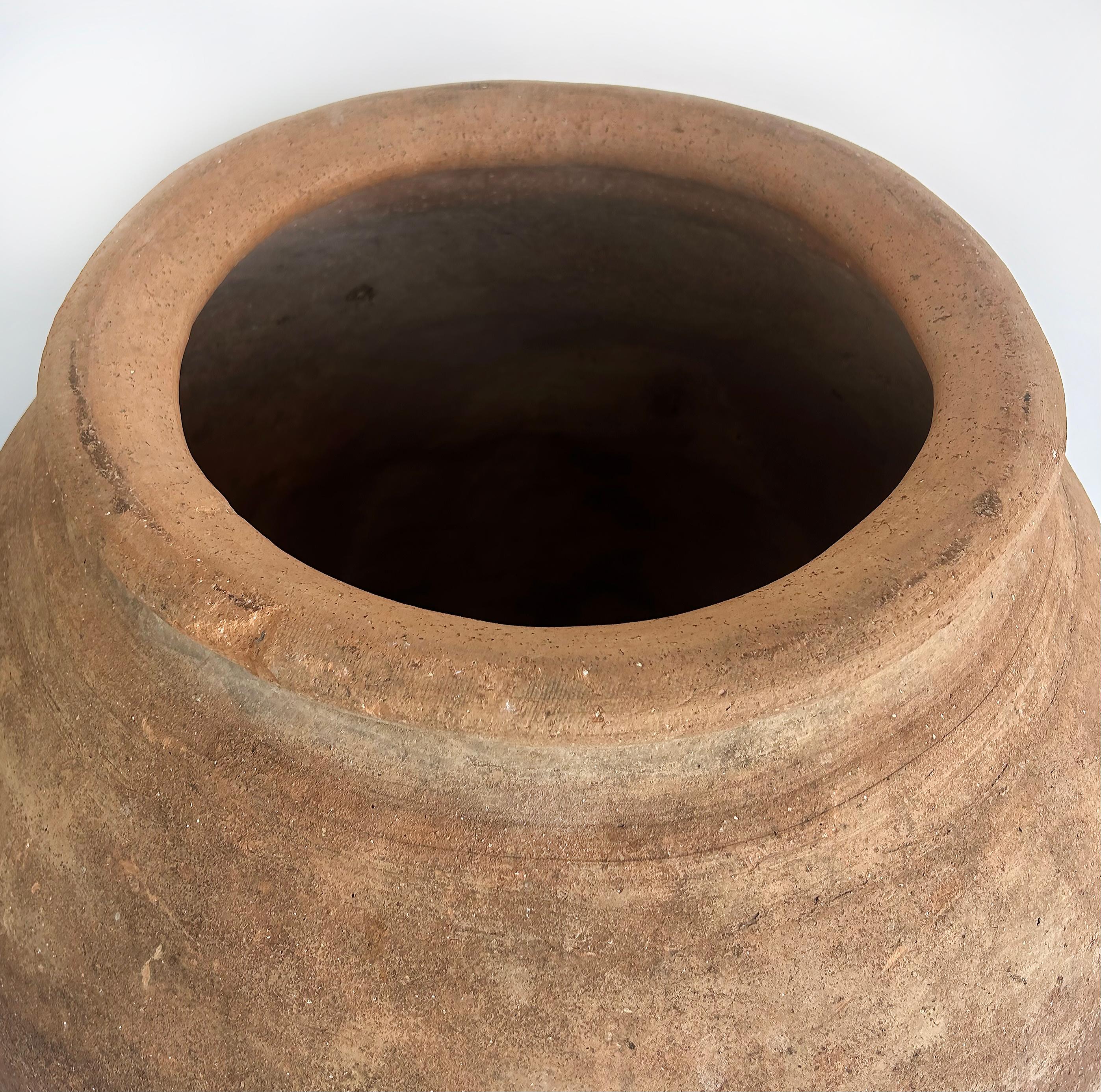 Antique European Terracotta Olive Jar Planter Urn 6