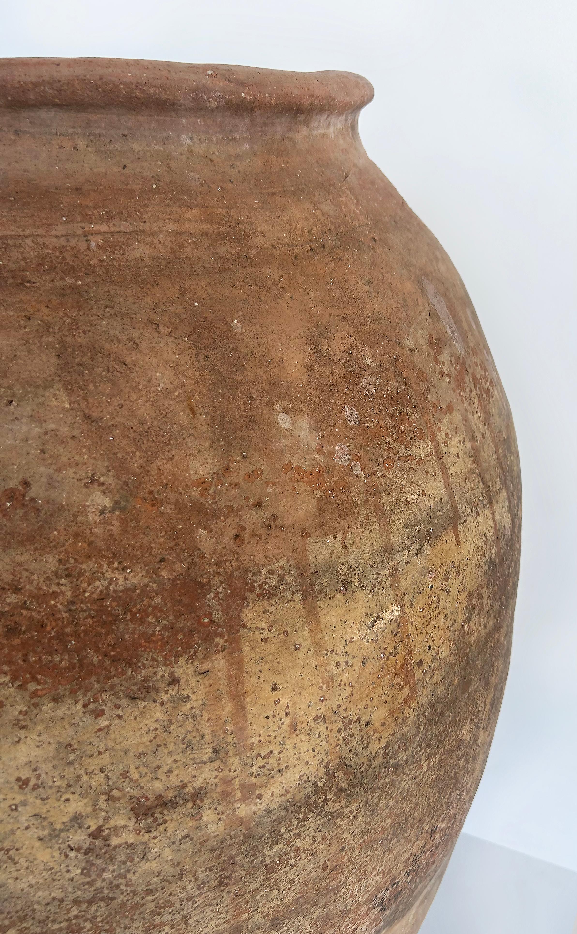 Antique European Terracotta Olive Jar Planter Urn In Good Condition In Miami, FL