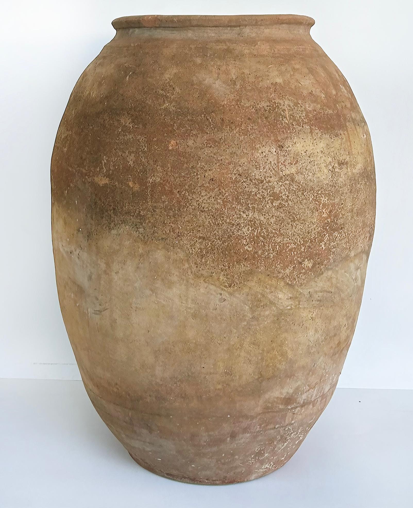 19th Century Antique European Terracotta Olive Jar Planter Urn