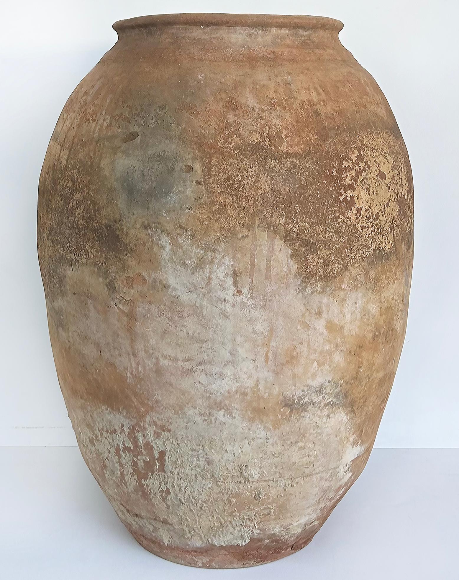 Antique European Terracotta Olive Jar Planter Urn 1