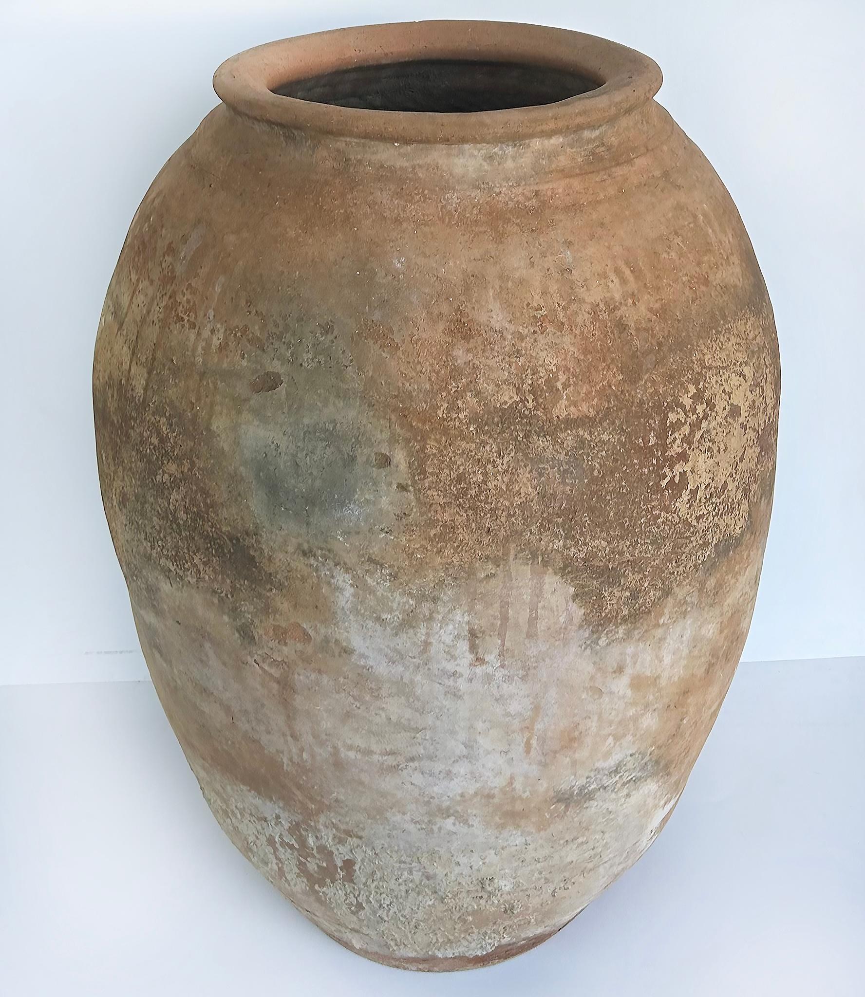 Antique European Terracotta Olive Jar Planter Urn 2