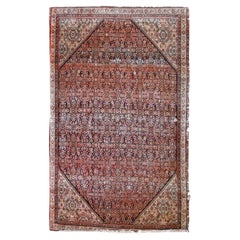 Alfombras persas de algodón