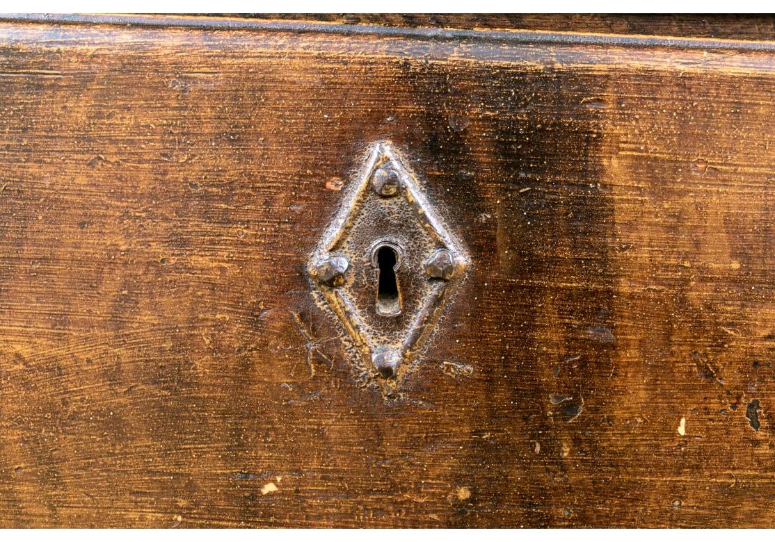 Antike Faux Grain gemalt Wood Kommode von Schubladen im Angebot 4