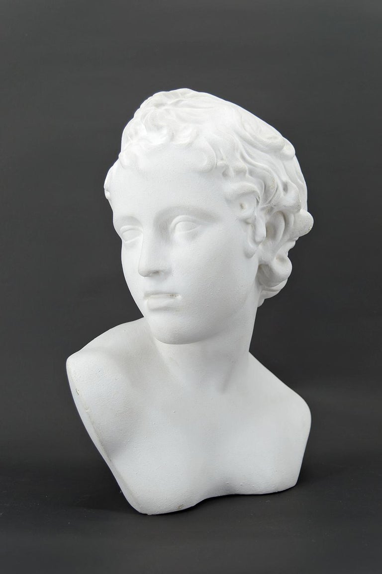 Antique Female Bust in Plaster For Sale at 1stDibs