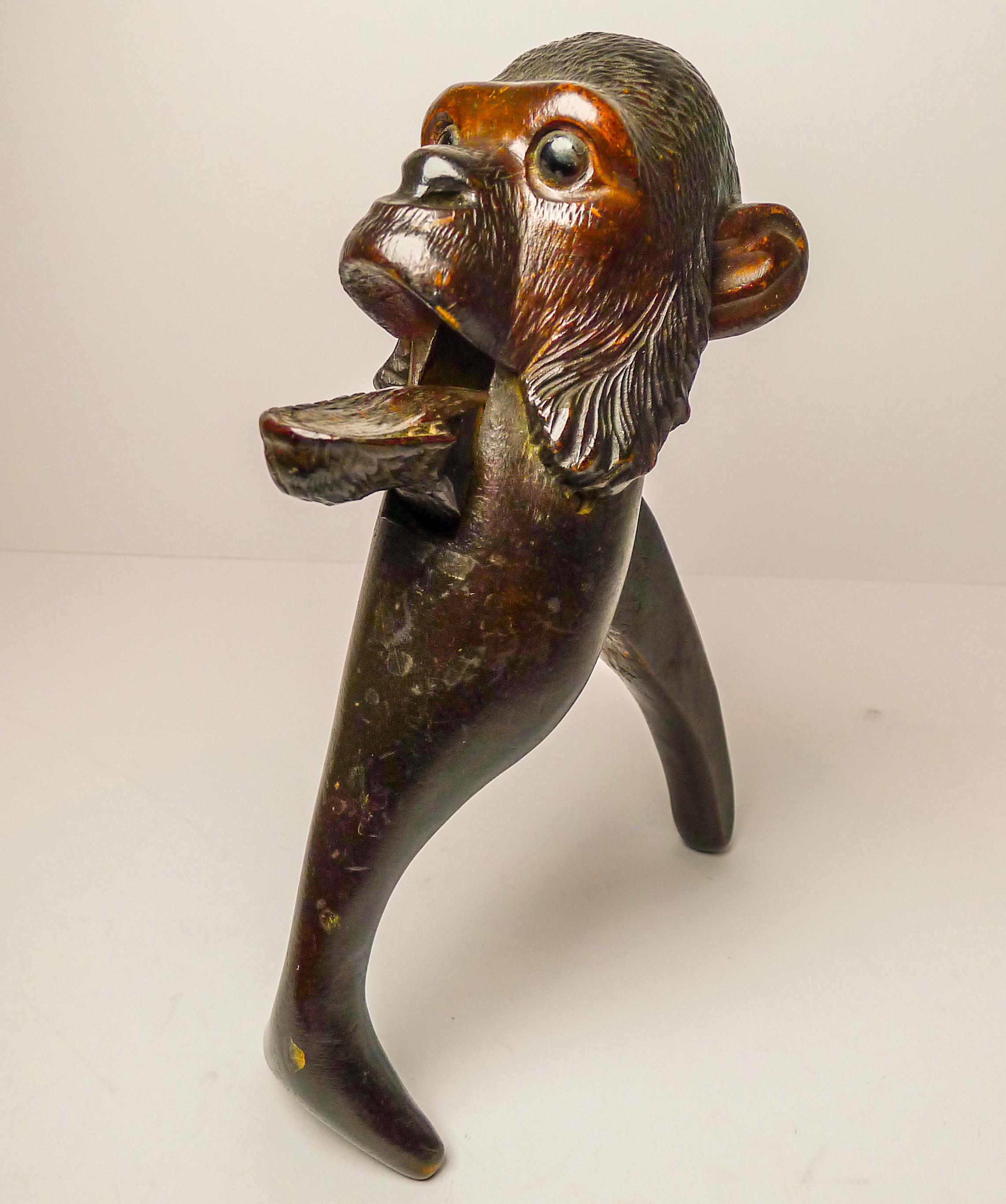 A fabulous late Victorian Black Forest Nutcracker beautifully carved with a fabulous rich dark colour and good bright patina.

The Monkey still retains his two original glass eyes.

There is one chip at the back above the handle. Excellent