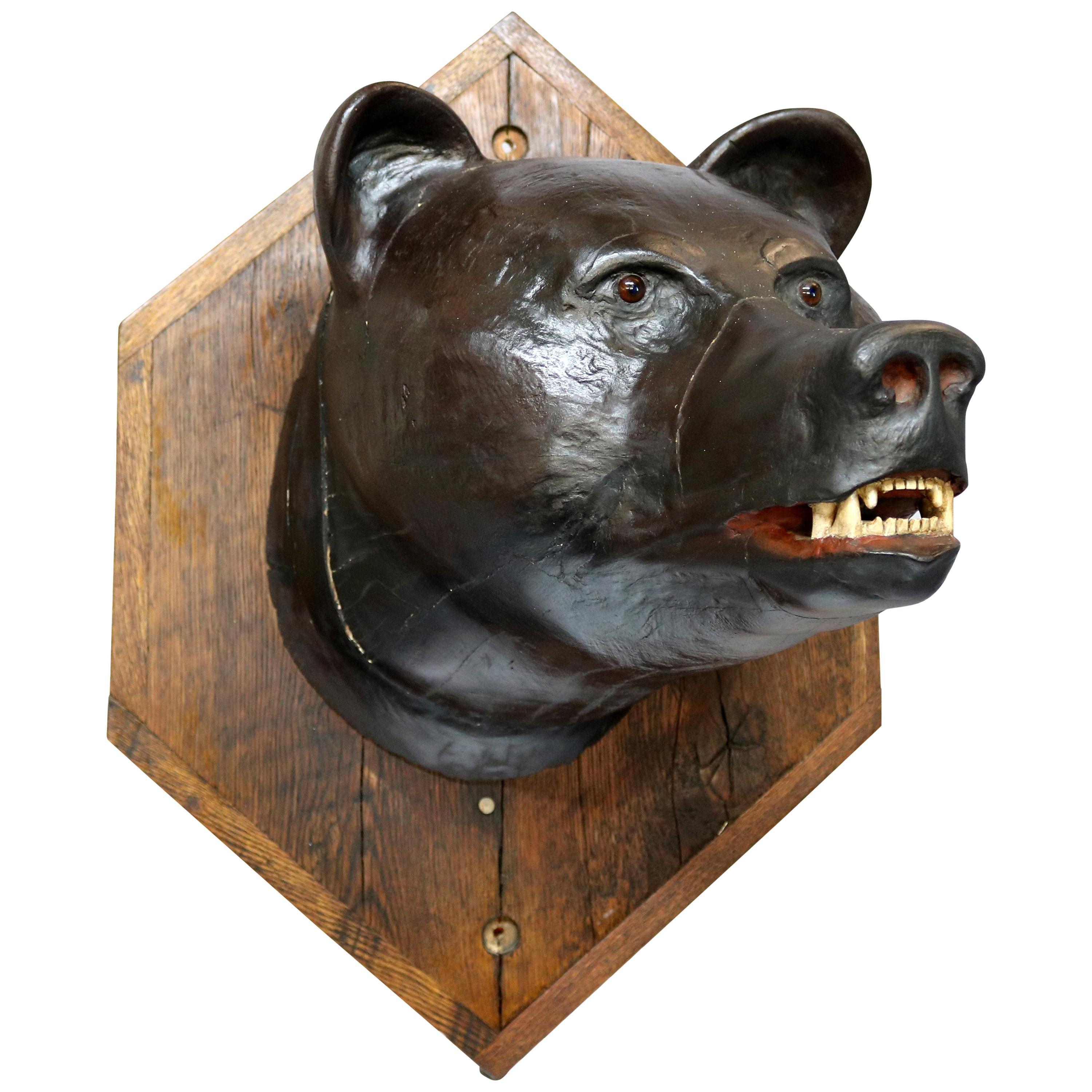 Antique Figural Carved Wood & Composition Polychromed Bear Mount on Plaque c1900