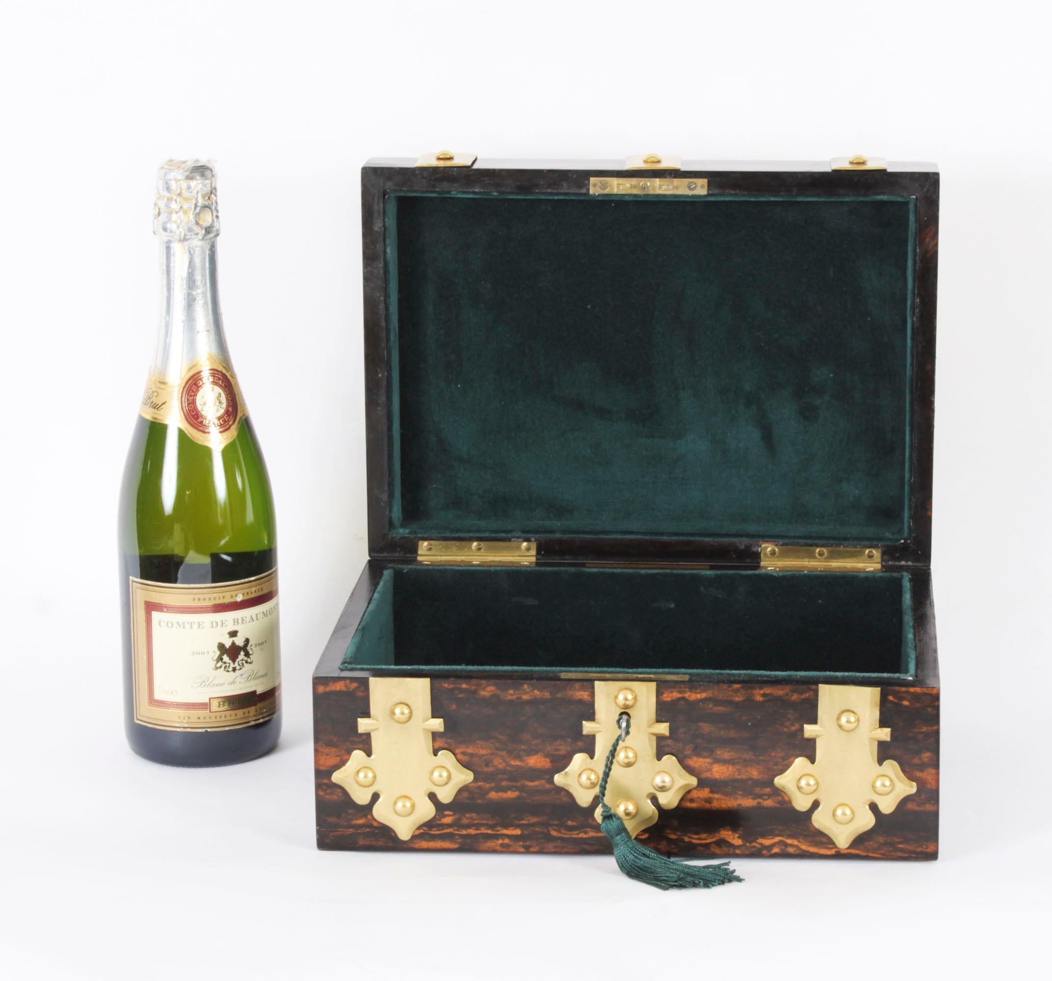 Antique Figured Coromandel Brass Box / Casket 19th Century 14