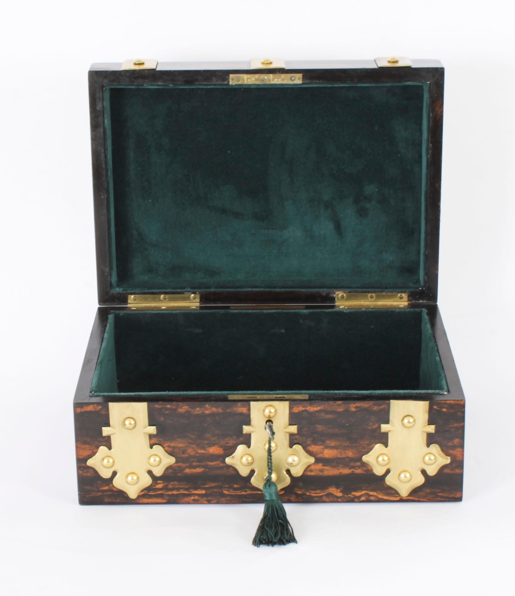 Victorian Antique Figured Coromandel Brass Box / Casket 19th Century