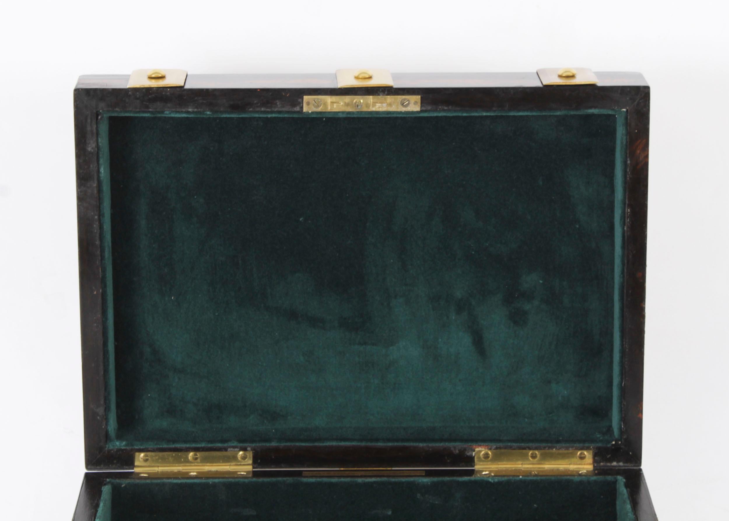 English Antique Figured Coromandel Brass Box / Casket 19th Century For Sale