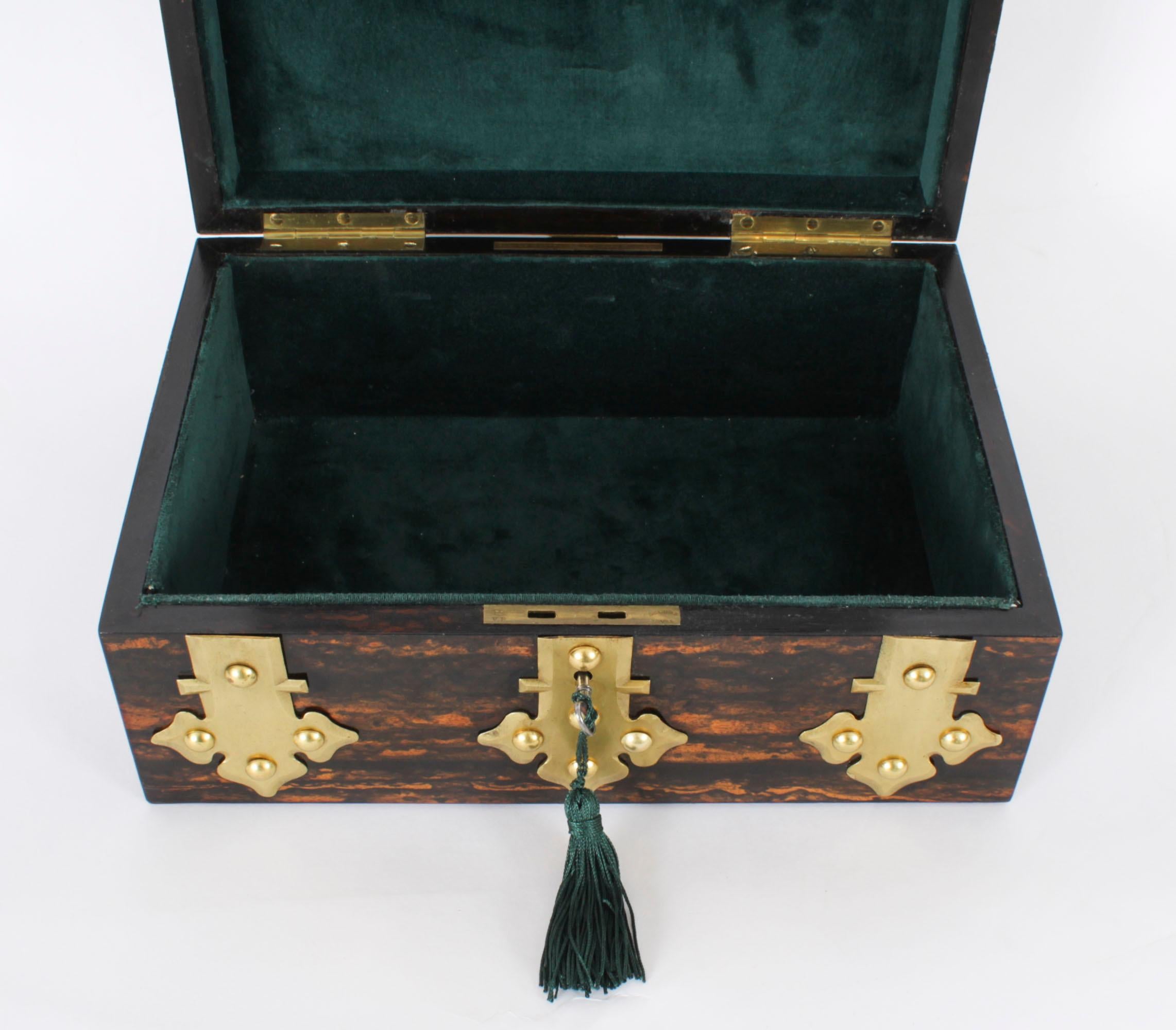 Mid-19th Century Antique Figured Coromandel Brass Box / Casket 19th Century
