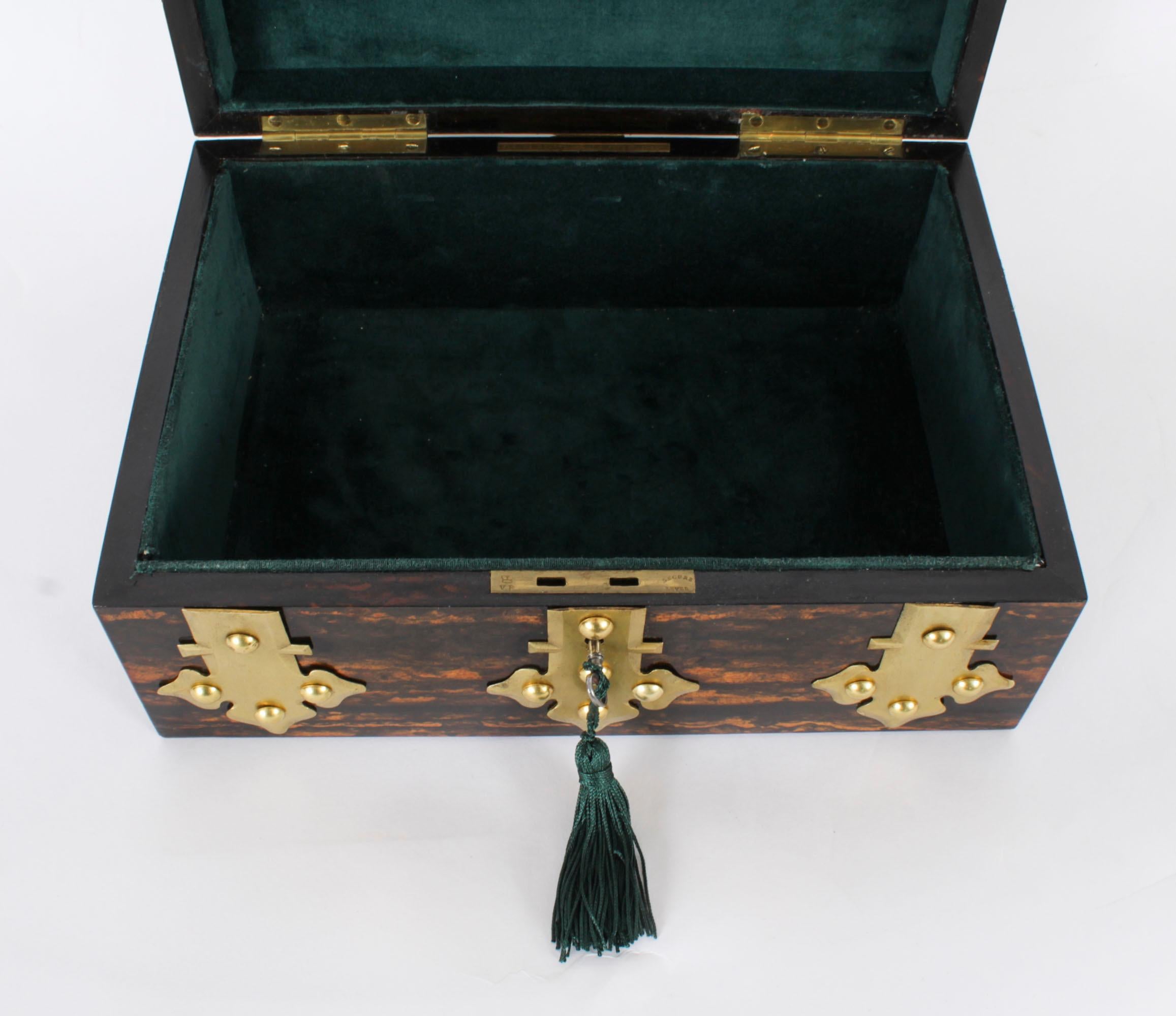 Antique Figured Coromandel Brass Box / Casket 19th Century For Sale 2