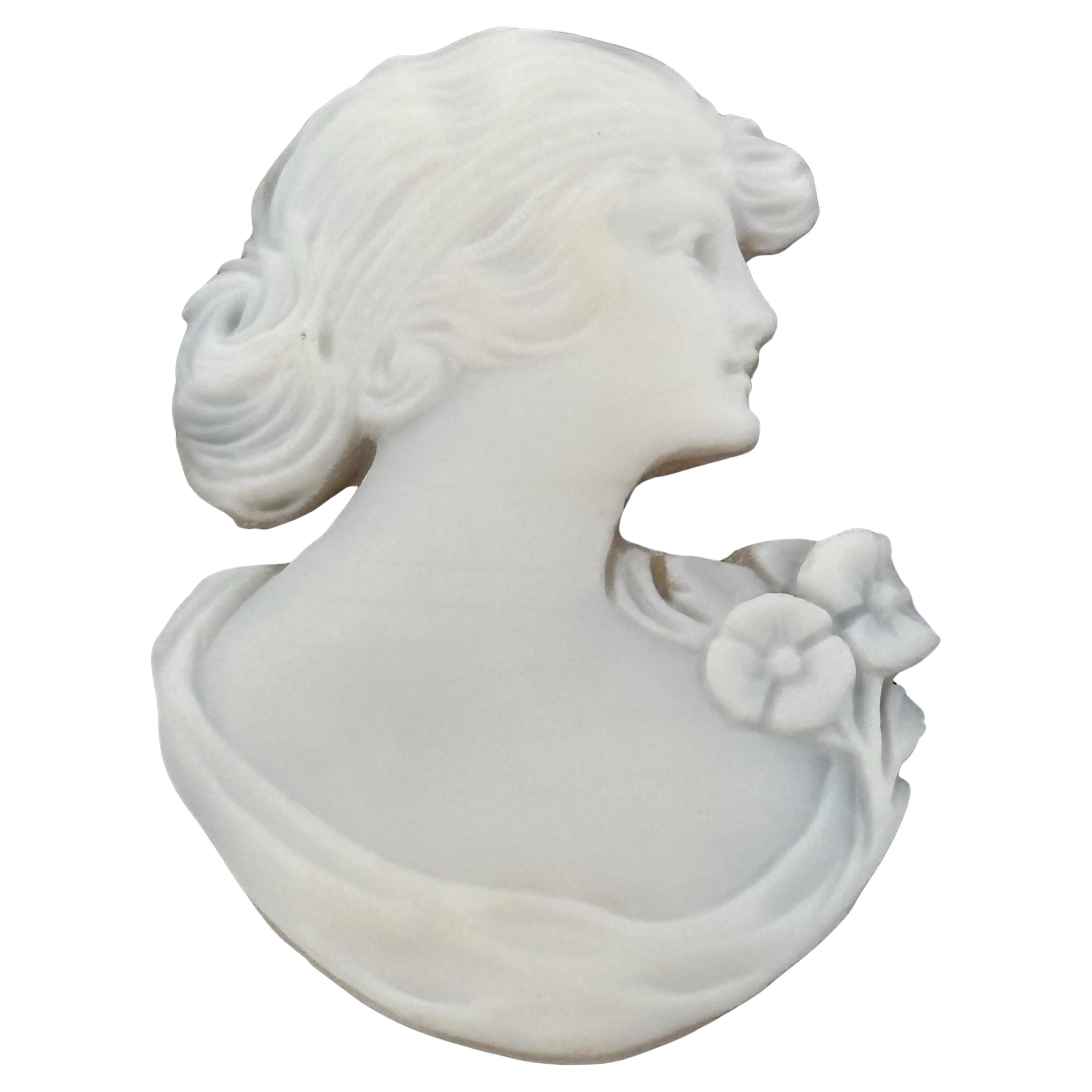Questa squisita spilla a cammeo degli anni '30 è un esempio straordinario di artigianato Art Déco, realizzato in filigrana d'oro bianco 14k. Con un'altezza di 44 mm, una larghezza di 34 mm e un peso di 11,2 grammi, il pezzo presenta un cammeo di