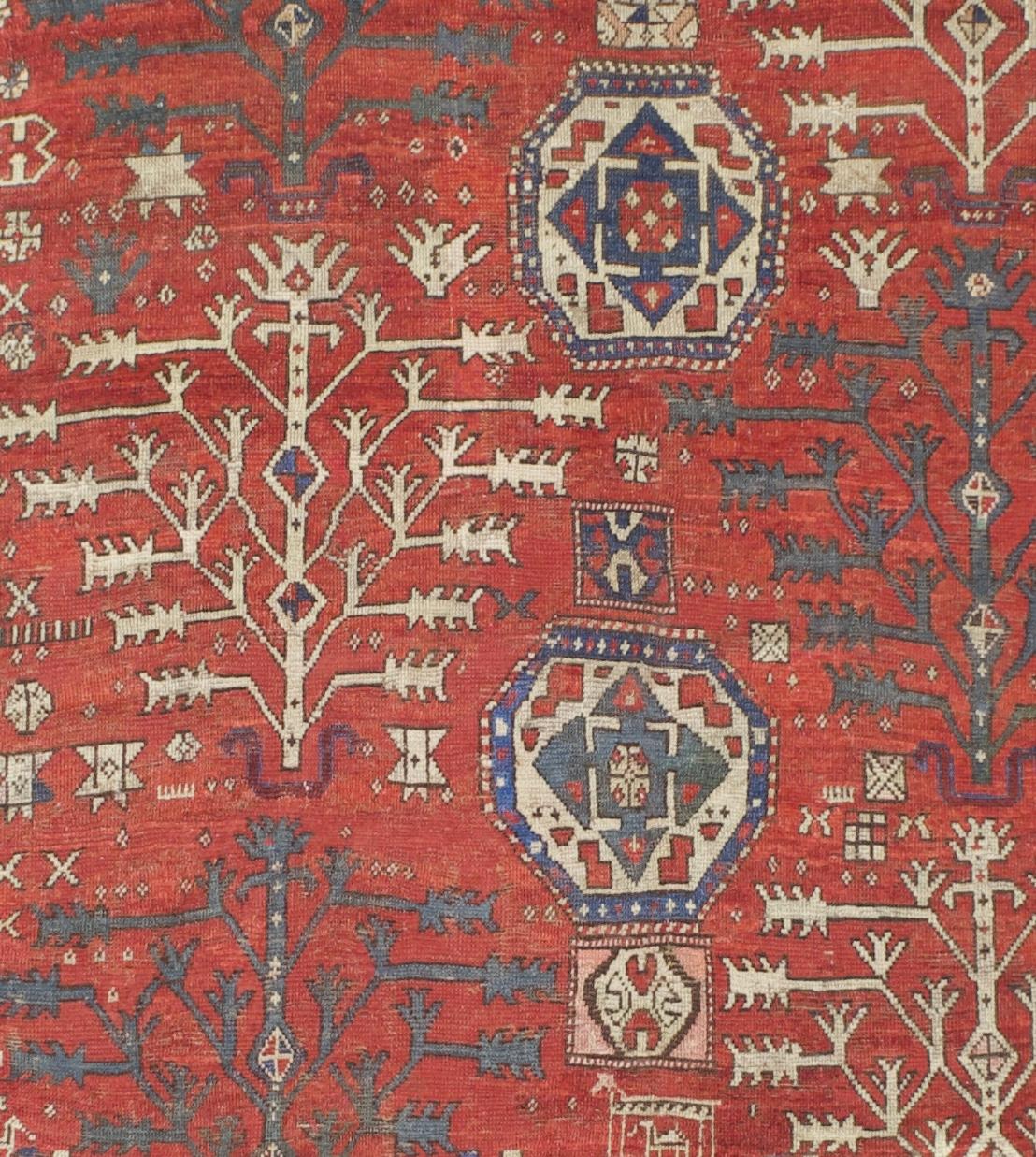 Antiker feiner & sehr seltener Baum Kazak Teppich 5'6 x 6'11 (19. Jahrhundert) im Angebot