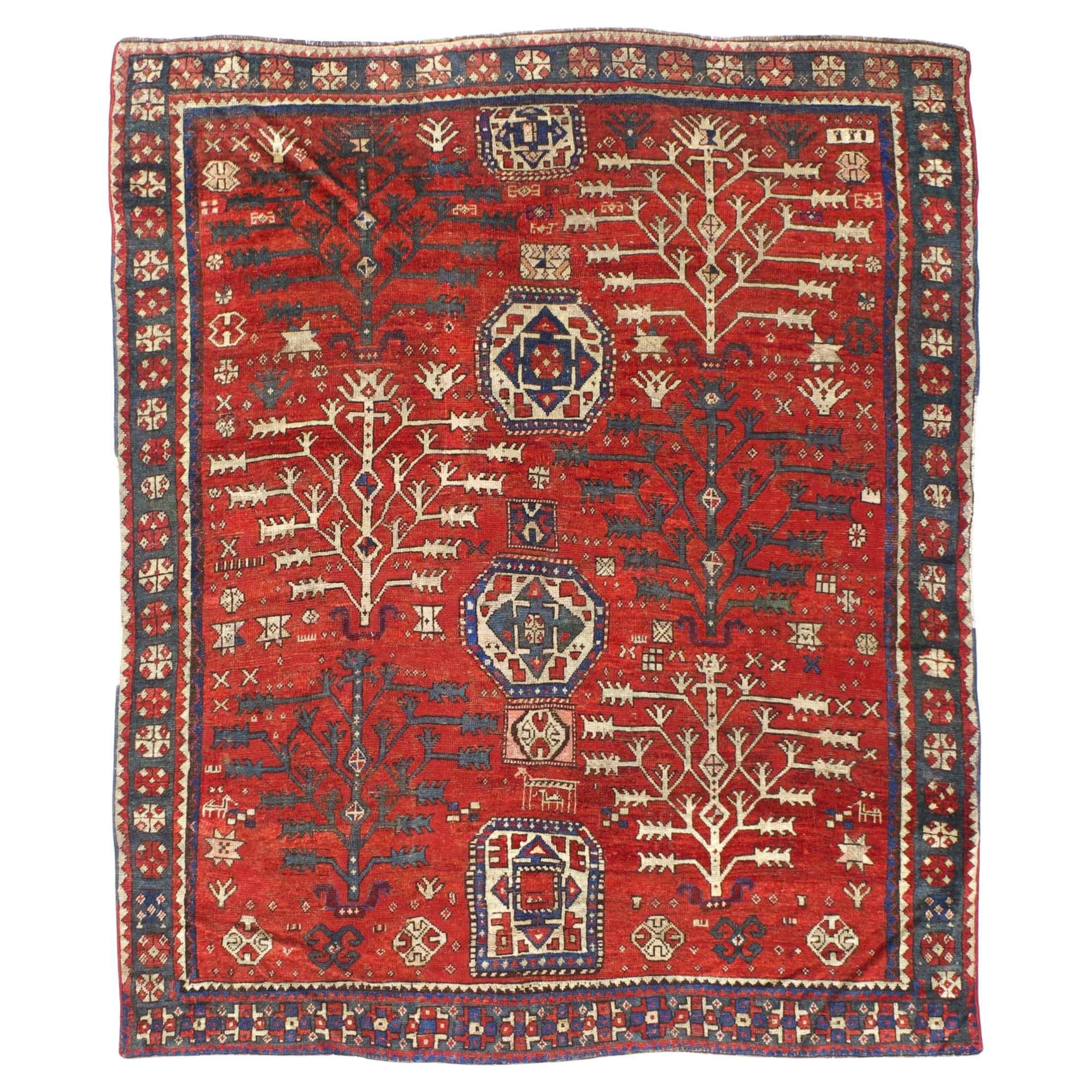 Antique Fine & Very Rare Tree Kazak Rug 5'6 x 6'11