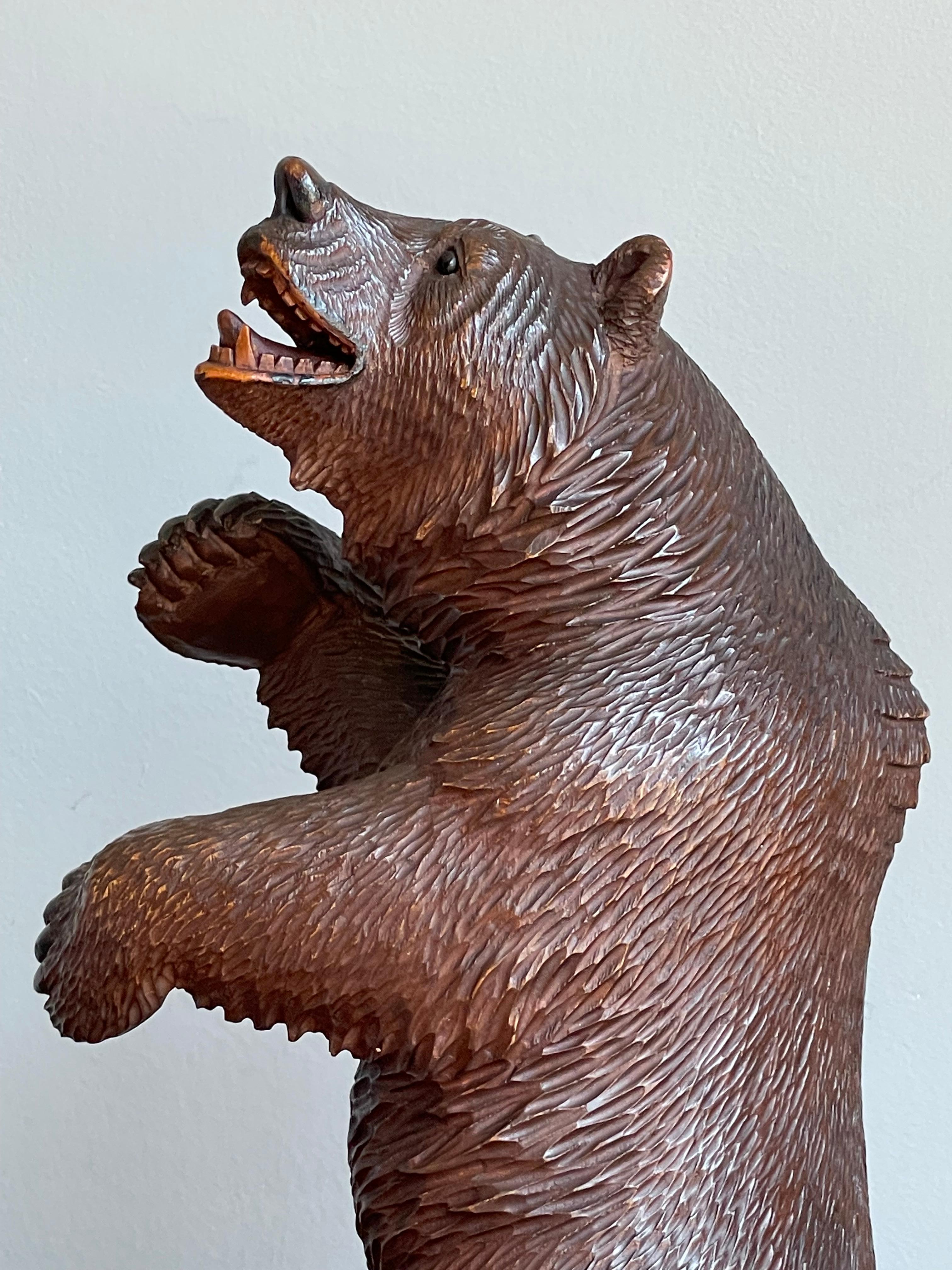 Antique Finer Quality Carved Black Forest Bear Sculpture / Striking Deskpiece For Sale 3