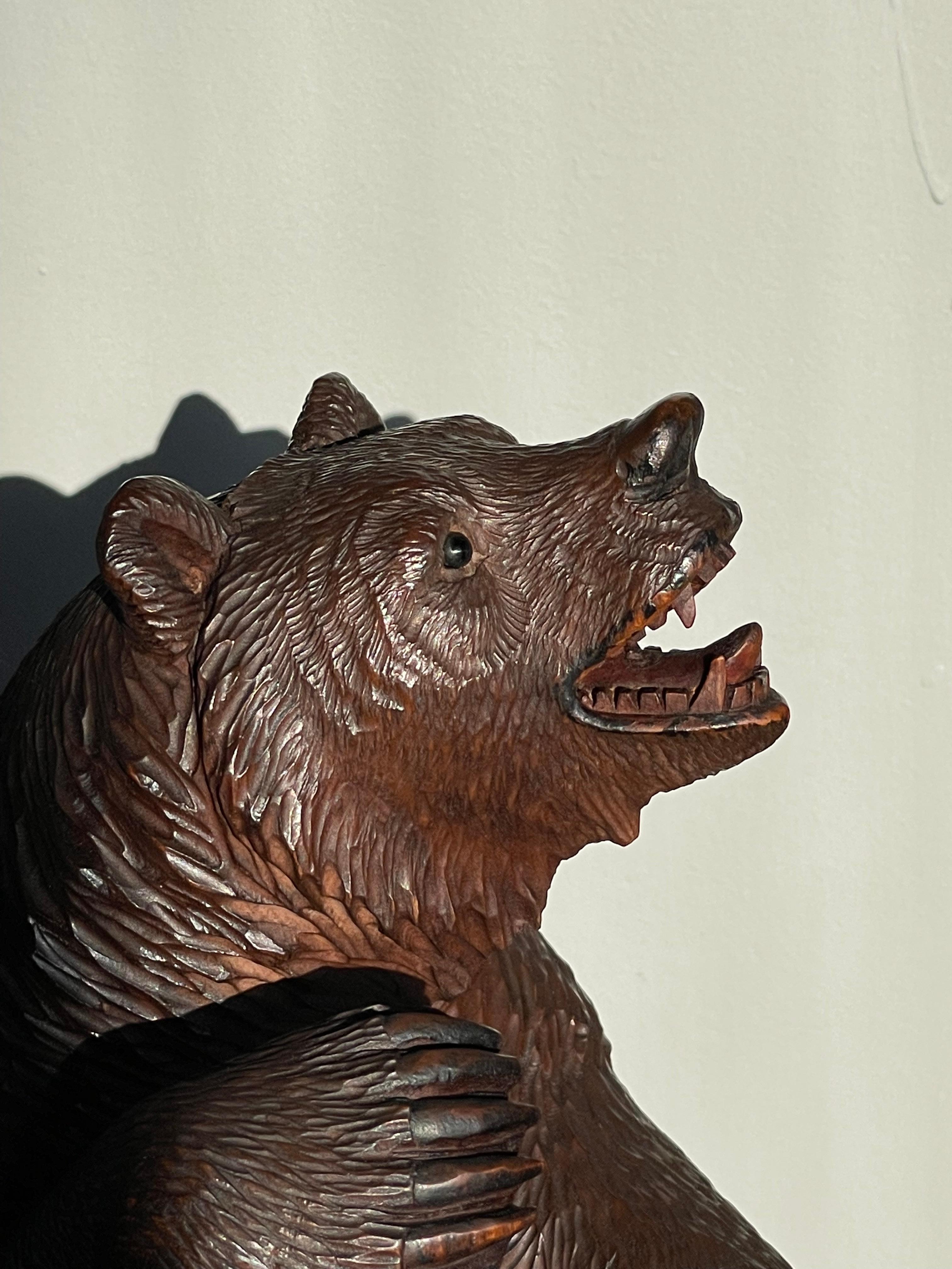 Antique Finer Quality Carved Black Forest Bear Sculpture / Striking Deskpiece For Sale 7