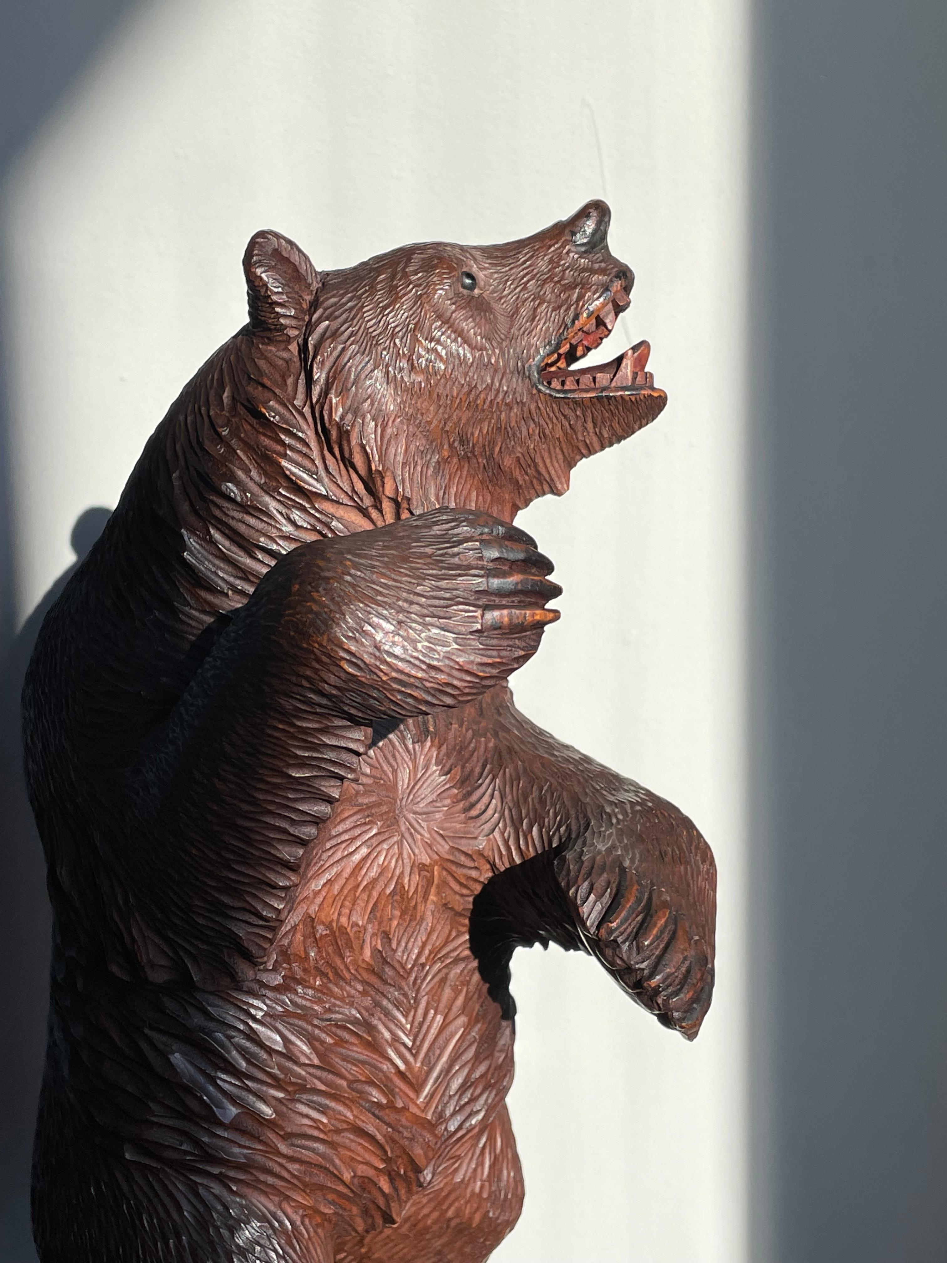 Antique Finer Quality Carved Black Forest Bear Sculpture / Striking Deskpiece For Sale 1