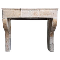 Antique Fireplace from the 19th century of french limestone 