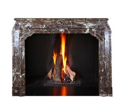 Antique Fireplace In Brown Belgian Marble Unique And Exceptional Rare 18Th Centu