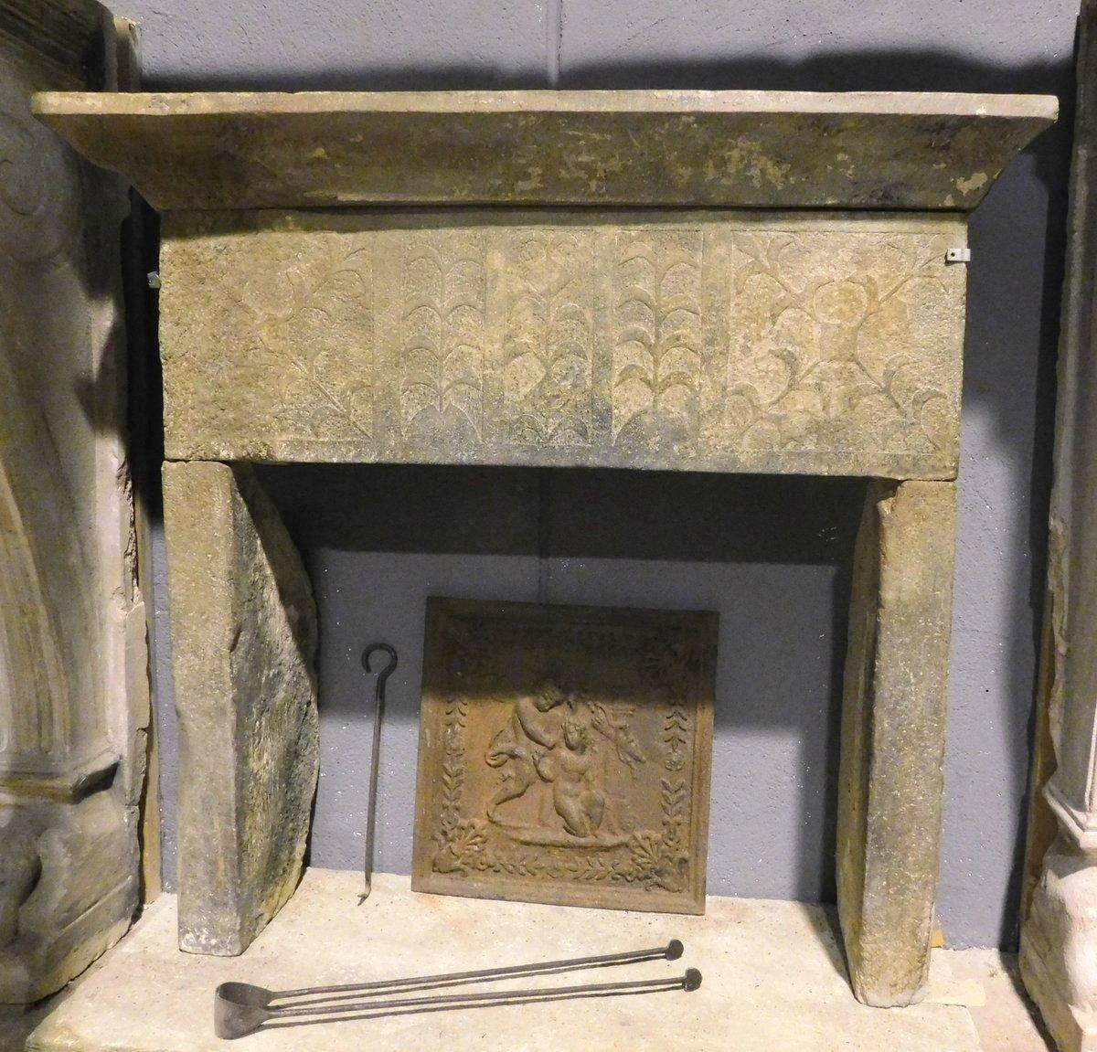 Antique fireplace in gray stone from the 15th century, with relief decorations in nature and floral, hand carved and very old. Excellent patina, it comes from a famous area of Italy called Abruzzo, typical of the area in the 1400s. Very charming and