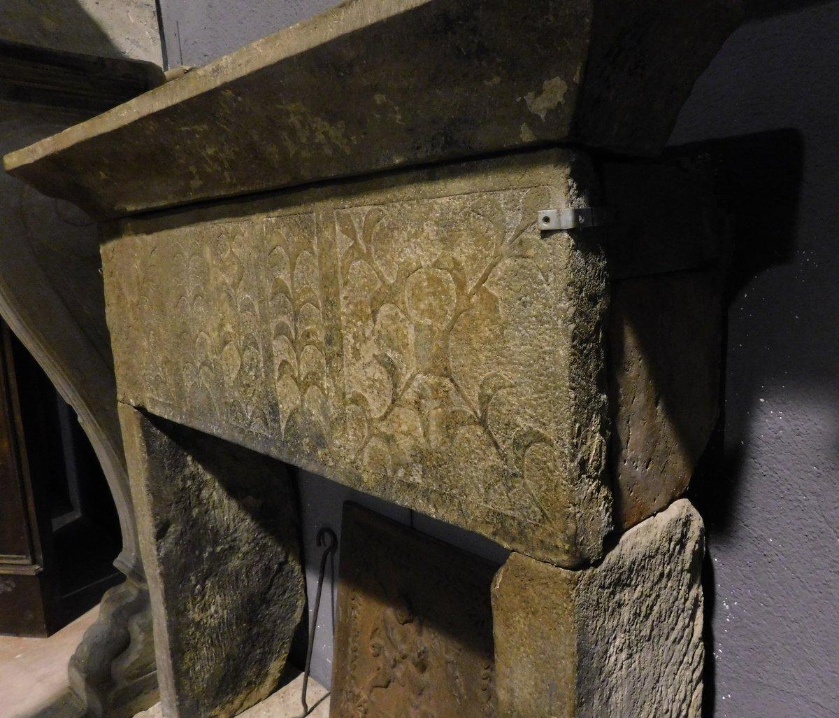 Antique Fireplace in Gray Stone, 15th Century, Relief Nature Decorations, Italy In Good Condition In Cuneo, Italy (CN)
