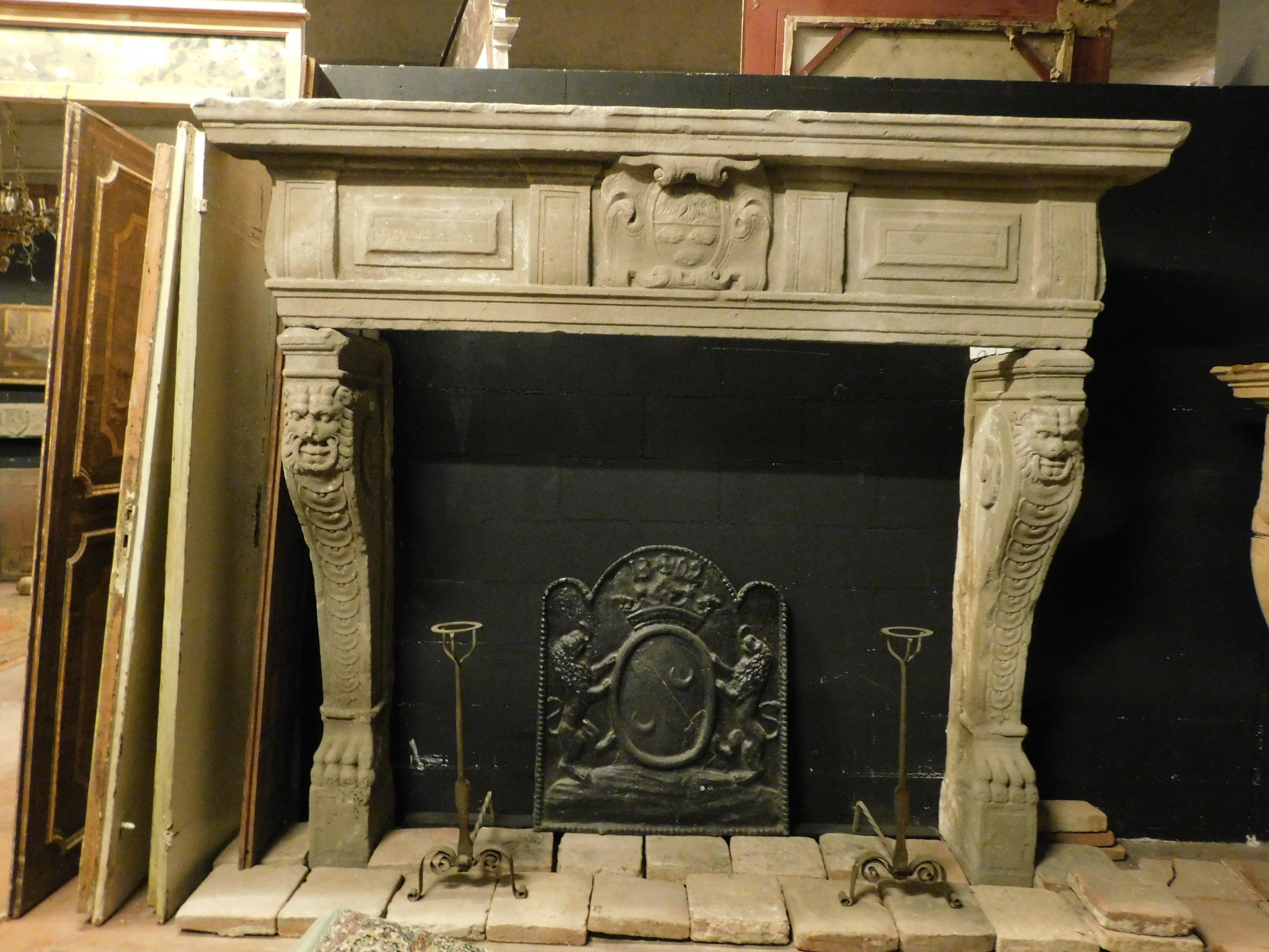 fireplace serena