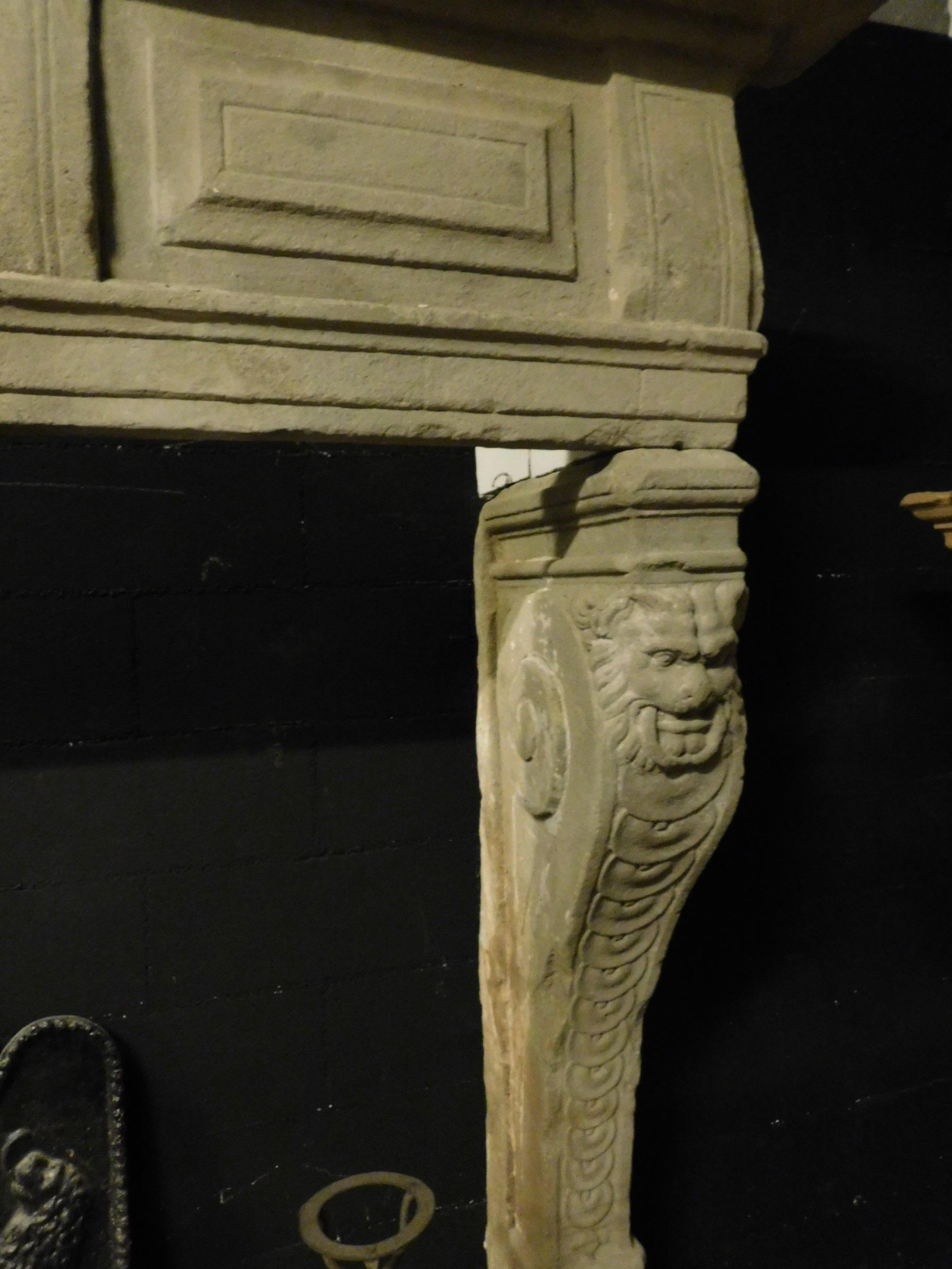 XVIIIe siècle et antérieur Cheminée ancienne en pierre Serena, pieds de lions-Armoiries nobles, 1500, Italie en vente