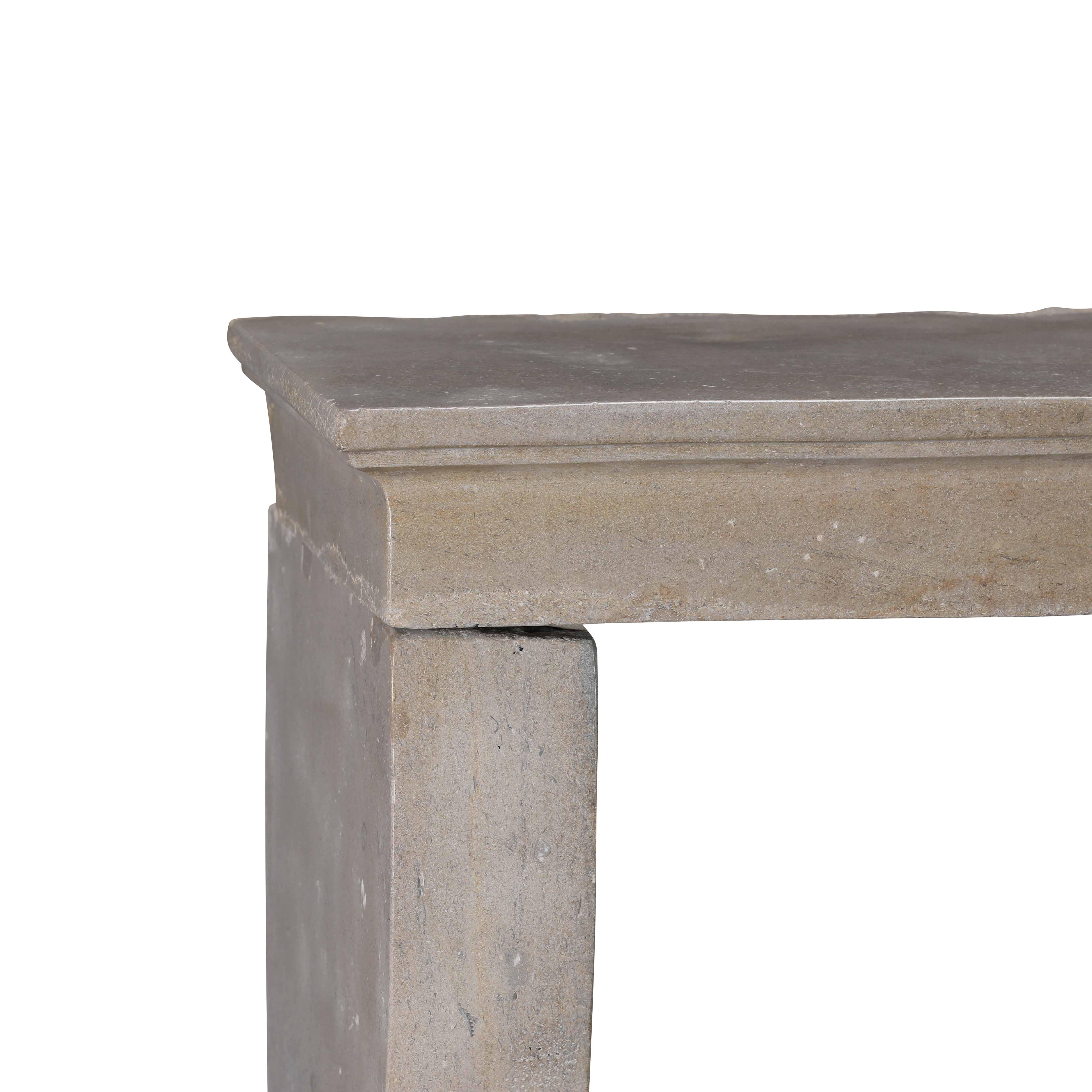 Antique Fireplace Mantel From France In Stone For Timeless Design Project For Sale 2
