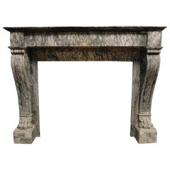 Antique Fireplace Mantel Gray Marble Carved with Lion's Paws, Empire Style, 1800