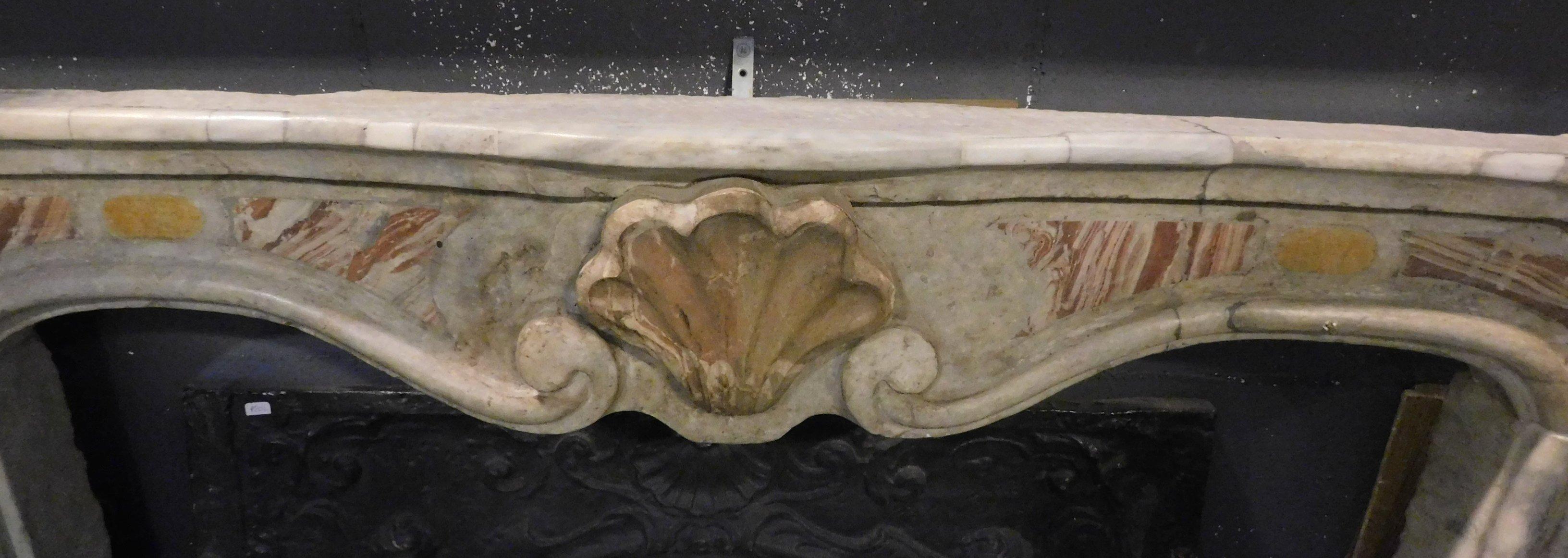 Hand-Carved Antique Fireplace Mantle in Bardiglio Marble, Central Shell, 19th Century, Italy For Sale