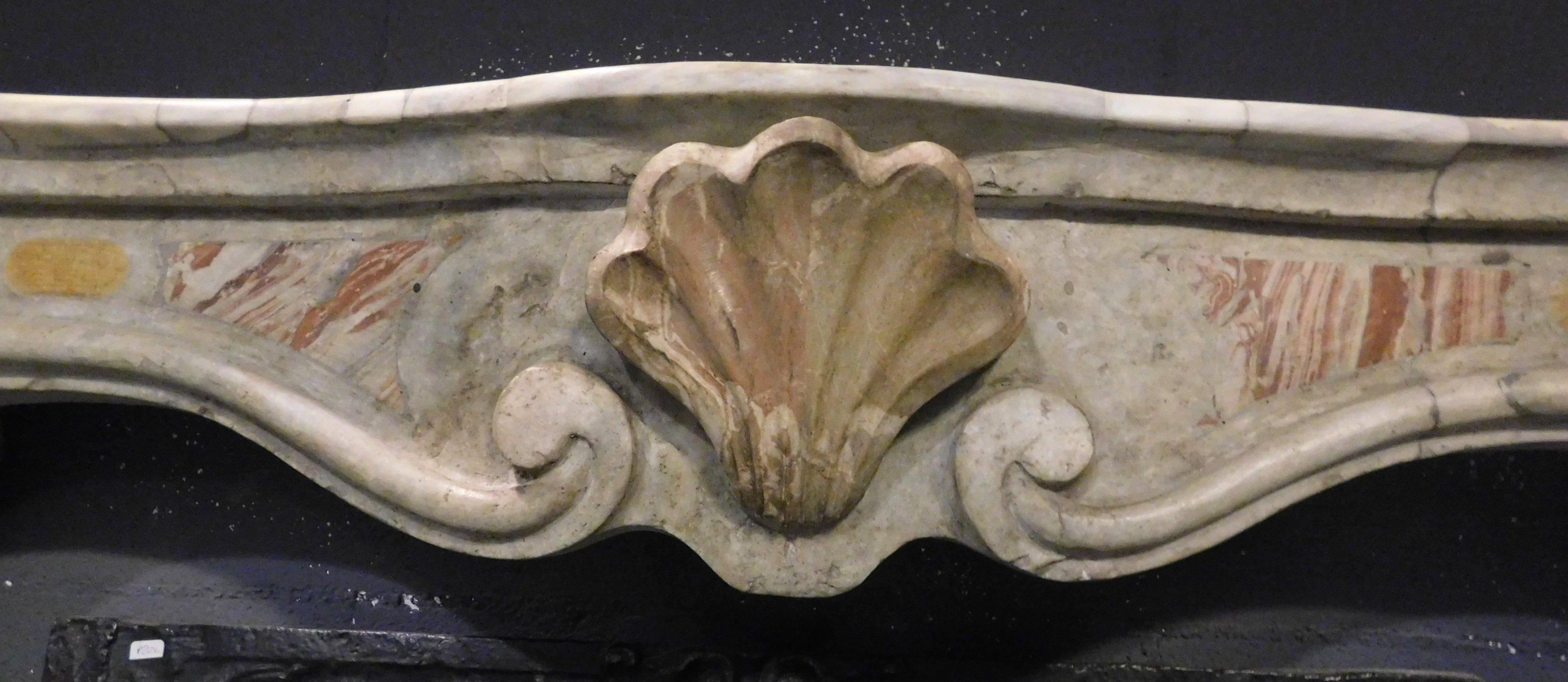 Antique Fireplace Mantle in Bardiglio Marble, Central Shell, 19th Century, Italy In Good Condition For Sale In Cuneo, Italy (CN)