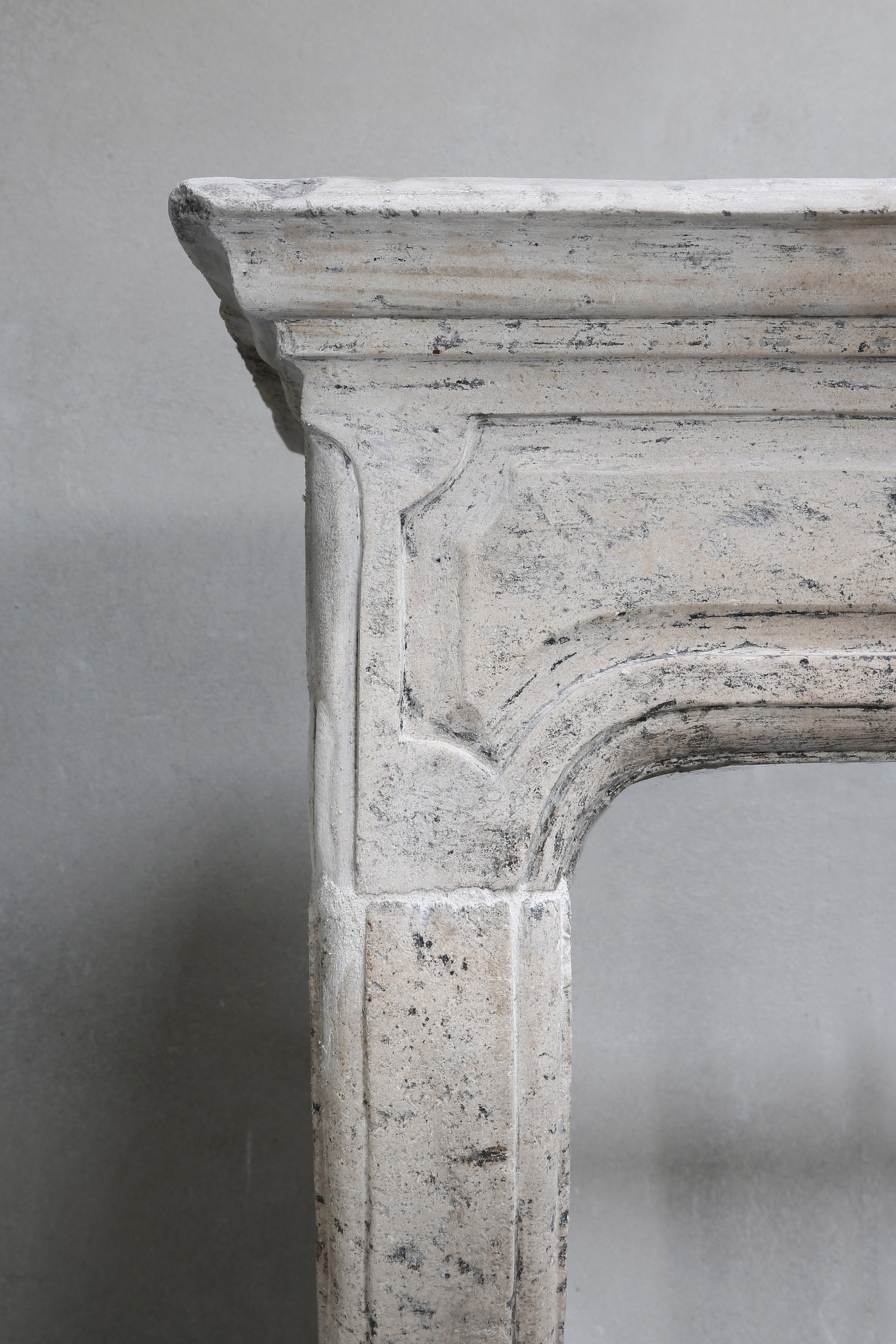 Antique Fireplace of French Limestone, 19th Century, Louis XIV 8