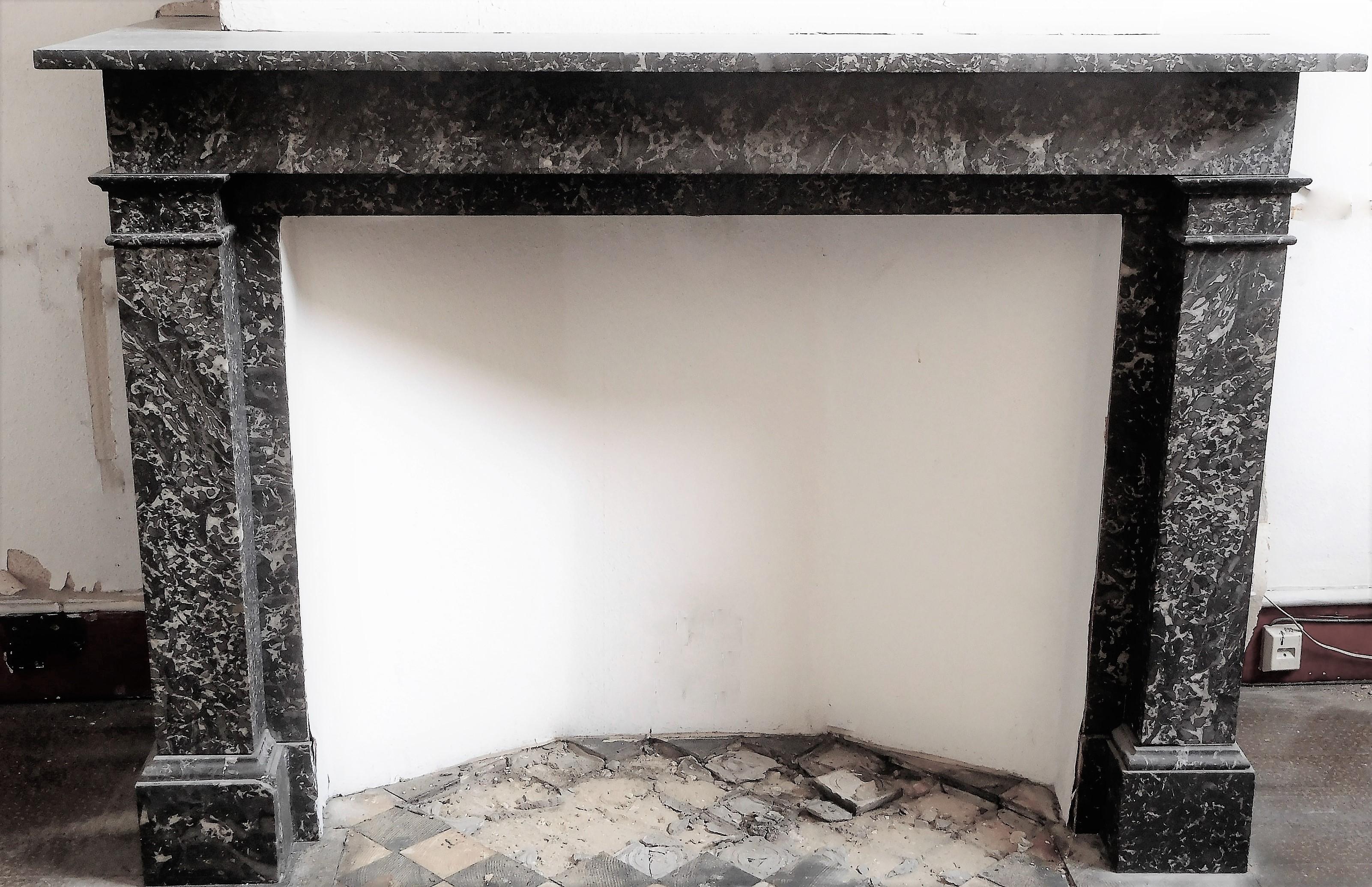 Antique Fireplace  Saint Anne Marble  19th.Century For Sale 1