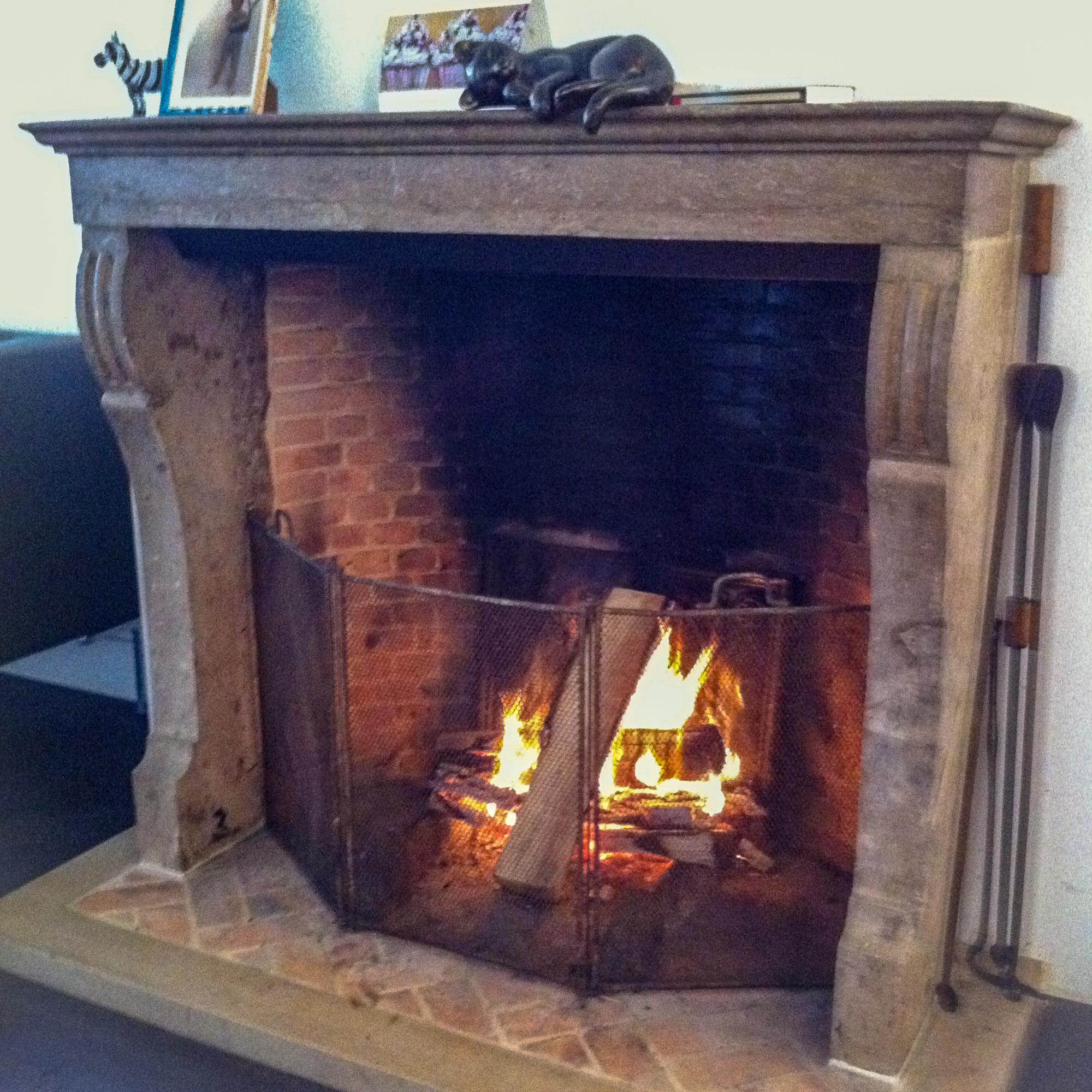 19th Century Antique Fireplace Screens