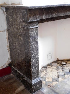 Antique Fireplace  Saint Anne Marble  19th.Century