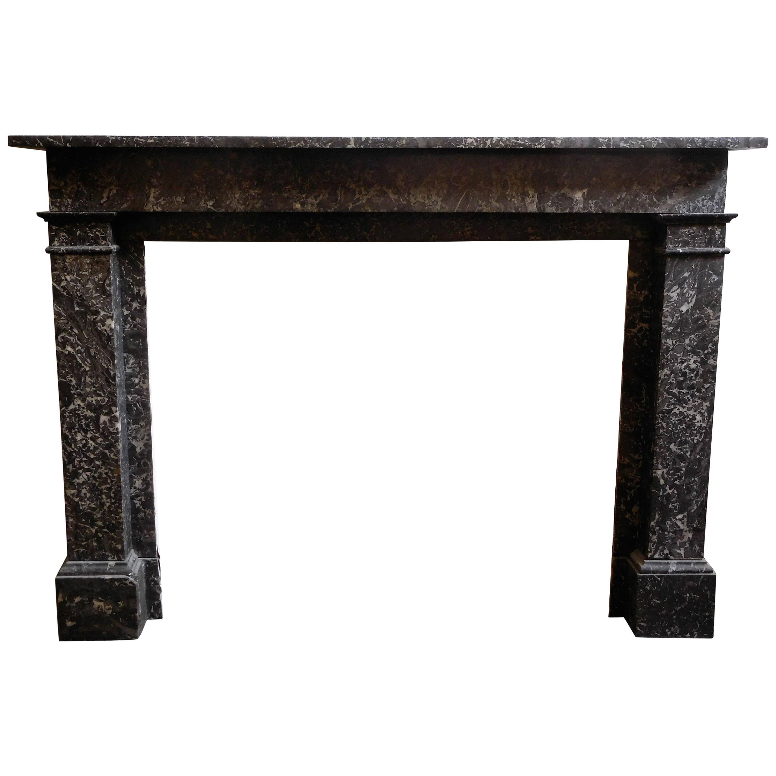 Antique Fireplace  Saint Anne Marble  19th.Century For Sale