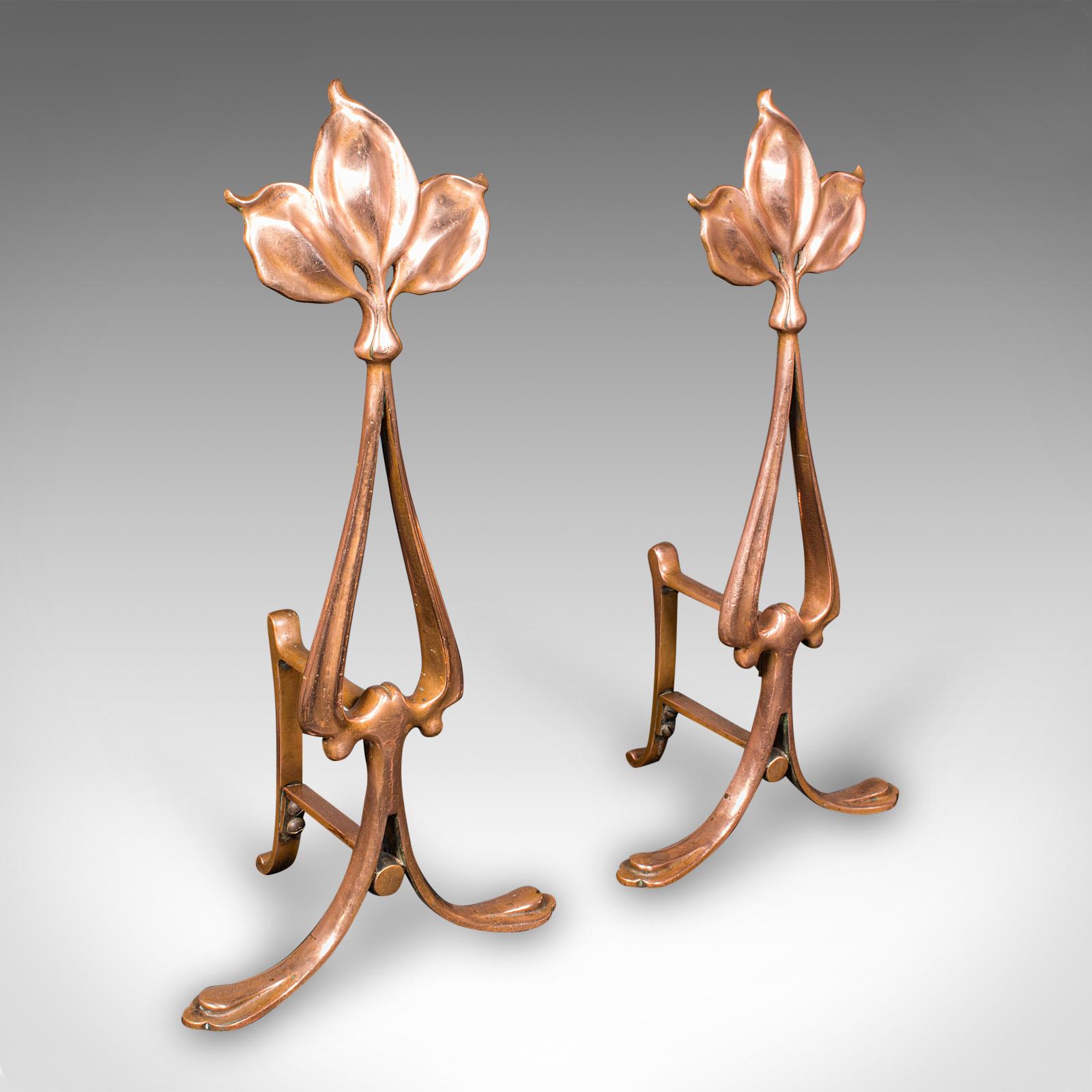 Antique Fireside Companion Set, French Bronze Fire Tools, Art Nouveau, Victorian In Good Condition For Sale In Hele, Devon, GB