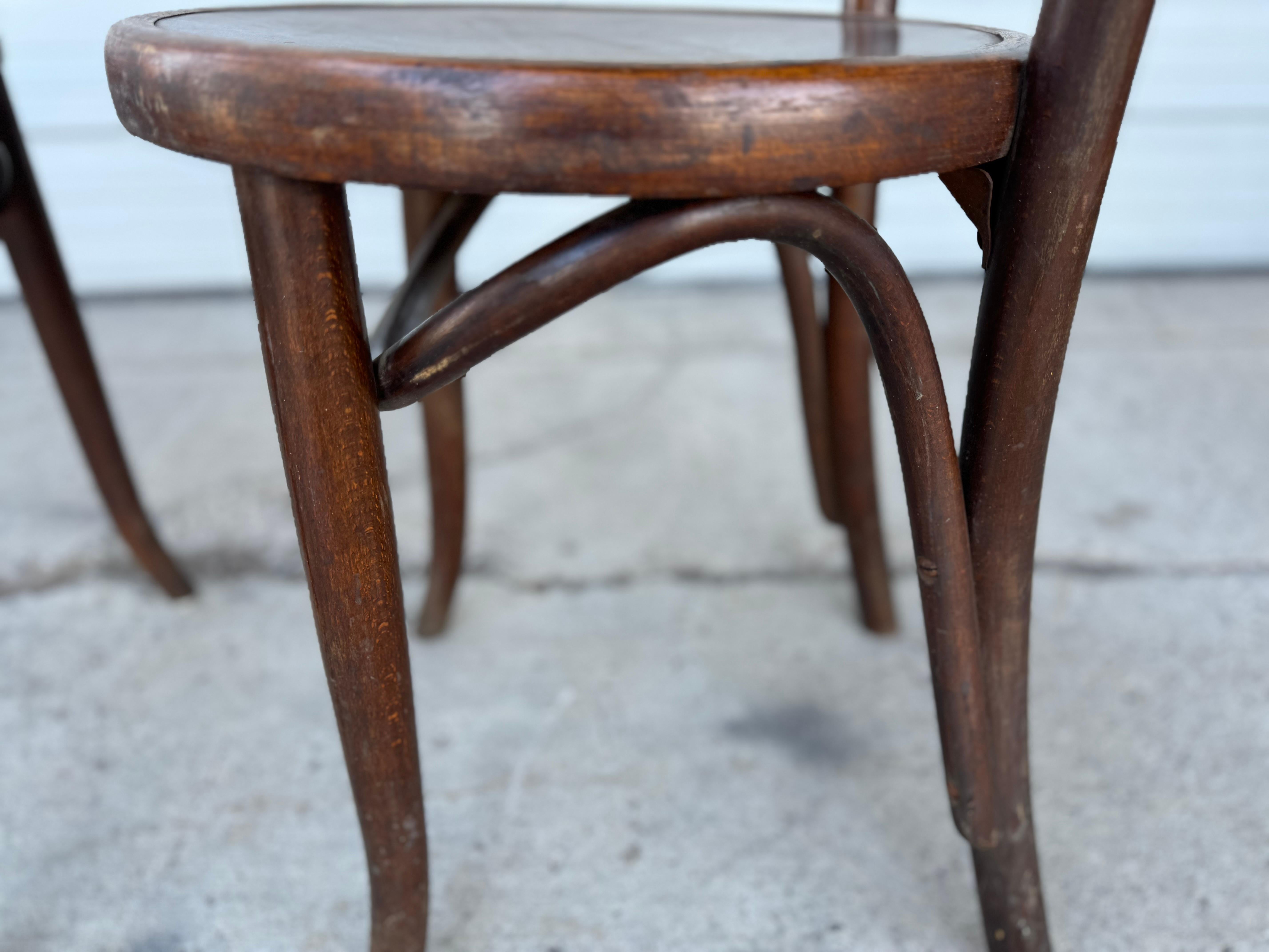 Czech Antique Fischel / Thonet Style Bentwood Bistro /Cafe' Chairs, 1920s. Set of 14