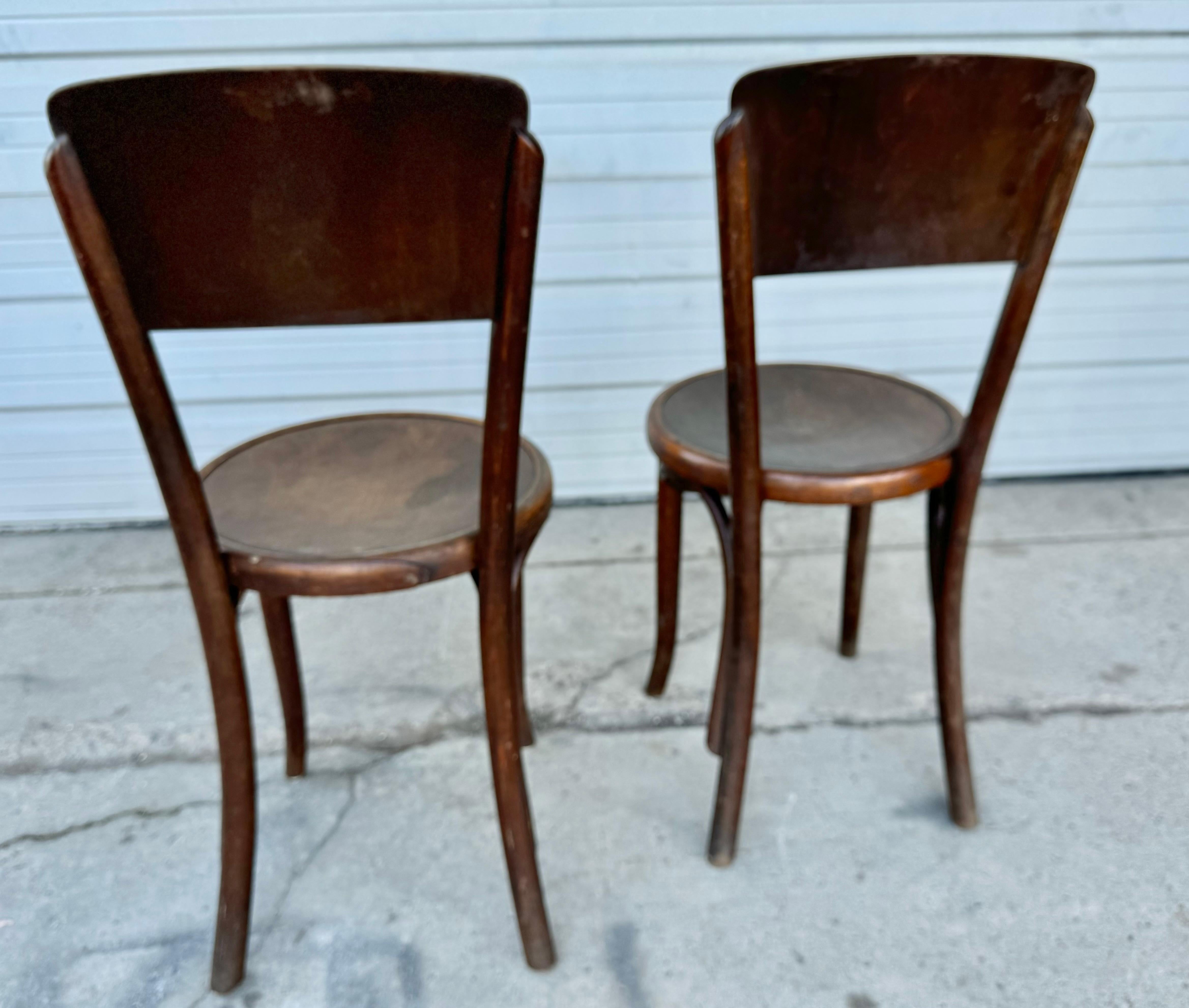 Early 20th Century Antique Fischel / Thonet Style Bentwood Bistro /Cafe' Chairs, 1920s. Set of 14