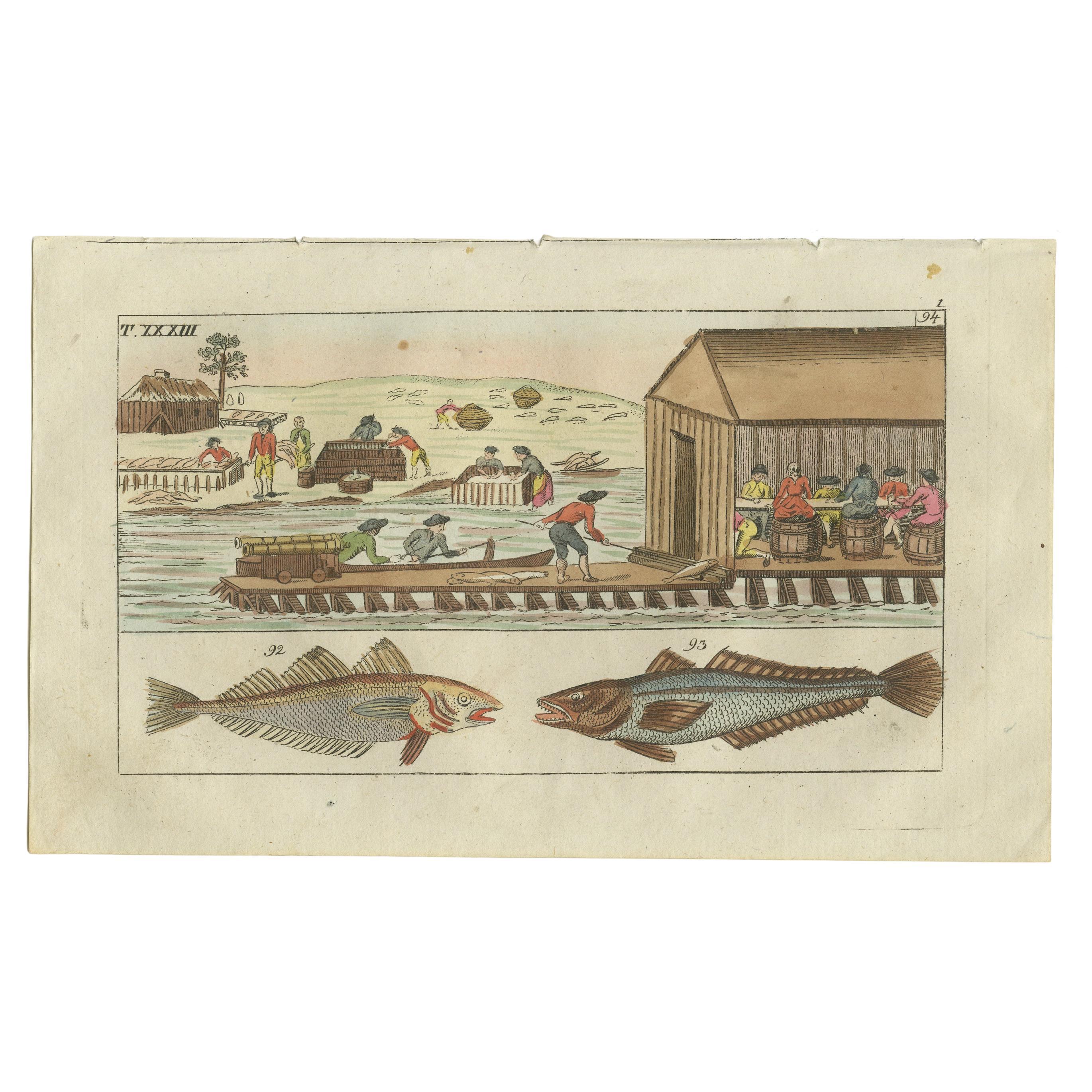 Antiker Fischdruck von Wittling, Seehecht und Arbeitern beim Ausnehmen und Salzen von Fisch