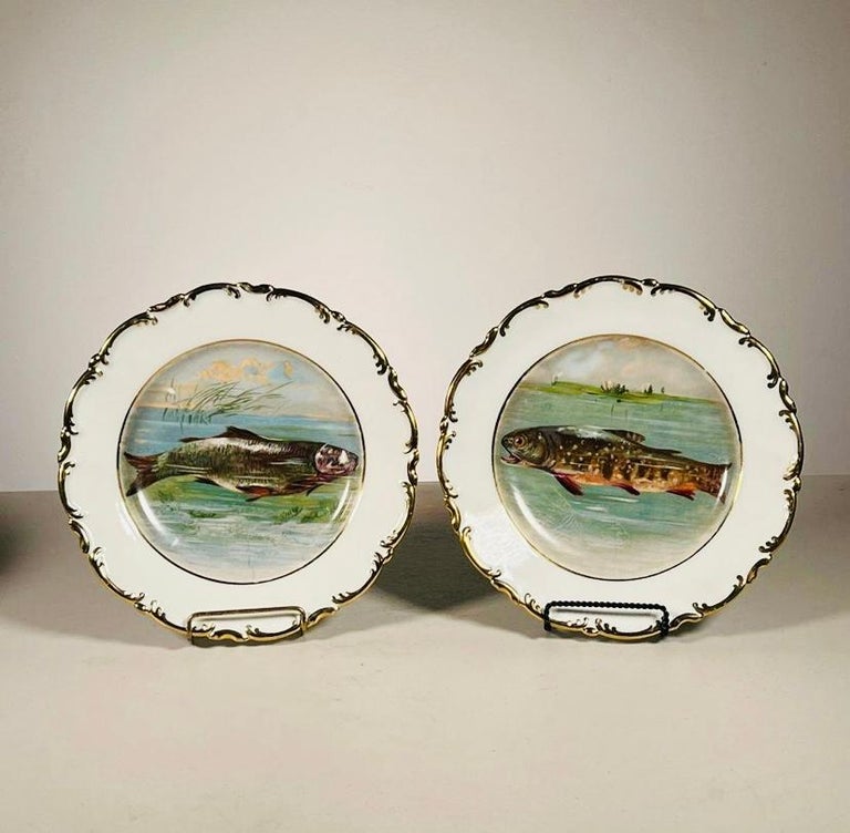 Service à Poisson En Porcelaine PF - 12 Assiettes + Plat + Saucière - Blanc