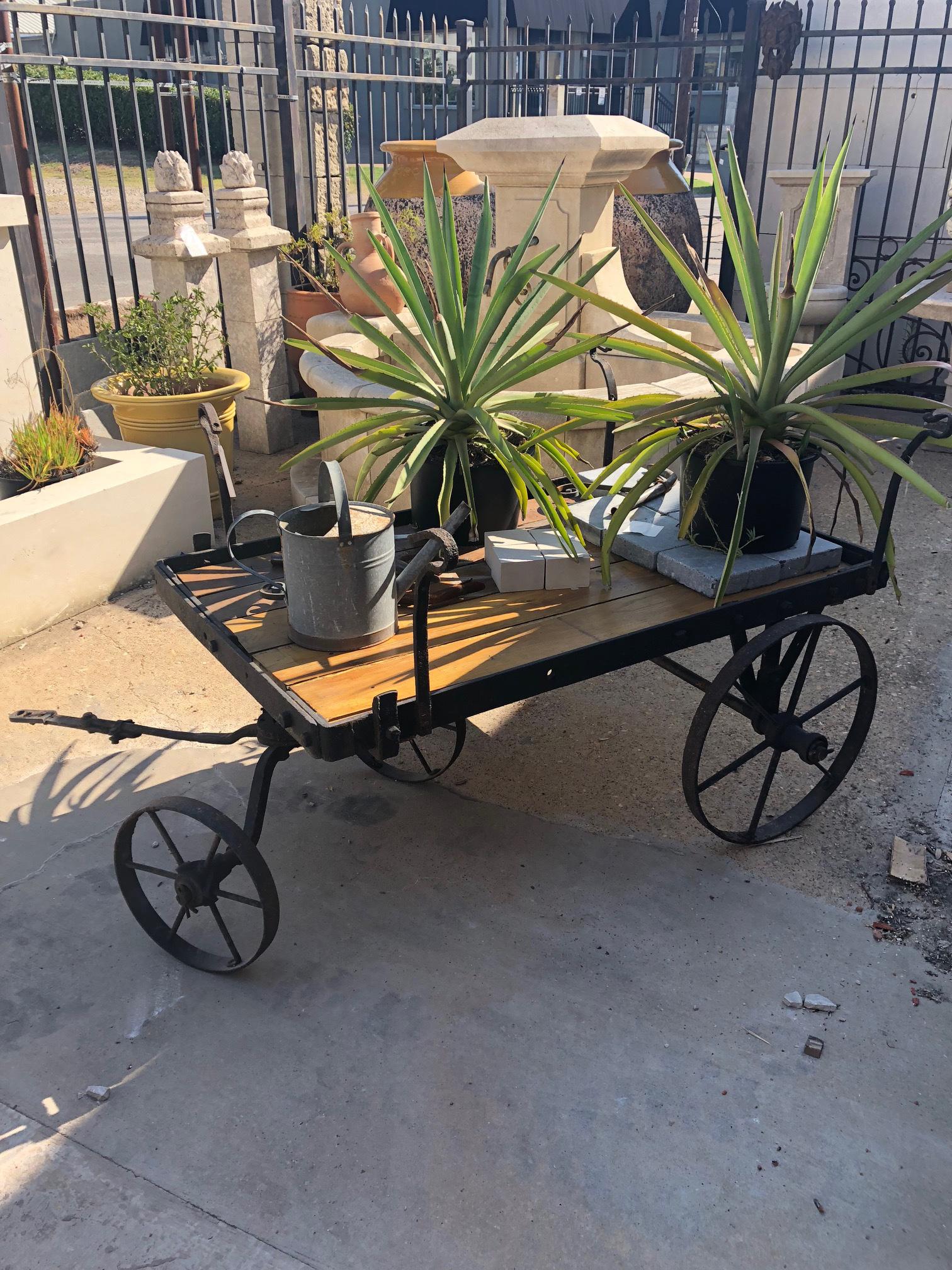 Showcase flowers and plants and create sensational seasonal displays with our rustic, antique, garden wagon. Crafted from wood with rolling iron wheels, this is sure to be a charming addition to your garden or patio.

Dimensions:
24