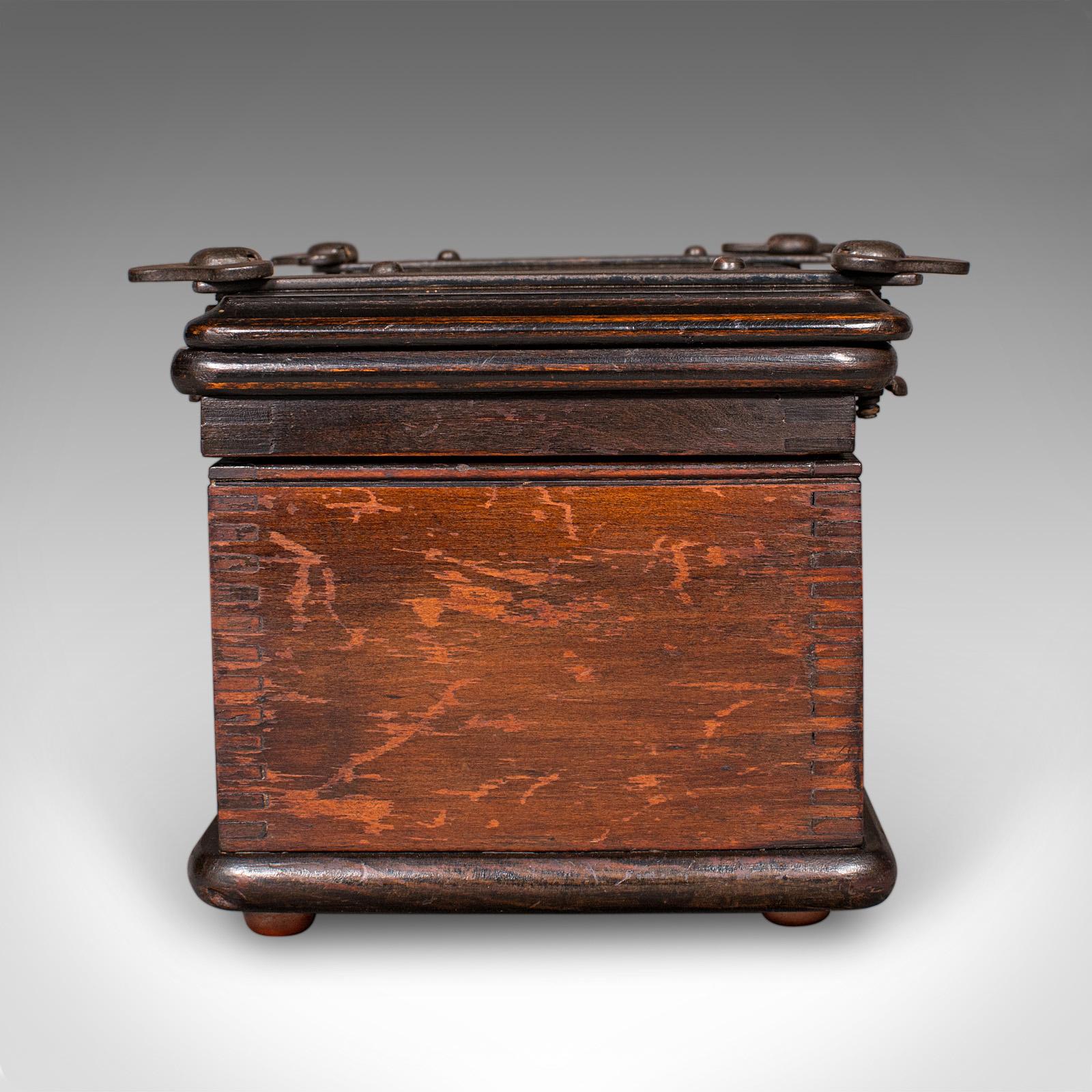 Antique Flower Press Box, English, Beech, Cast Iron, Hobby Case, Edwardian, 1910 For Sale 2