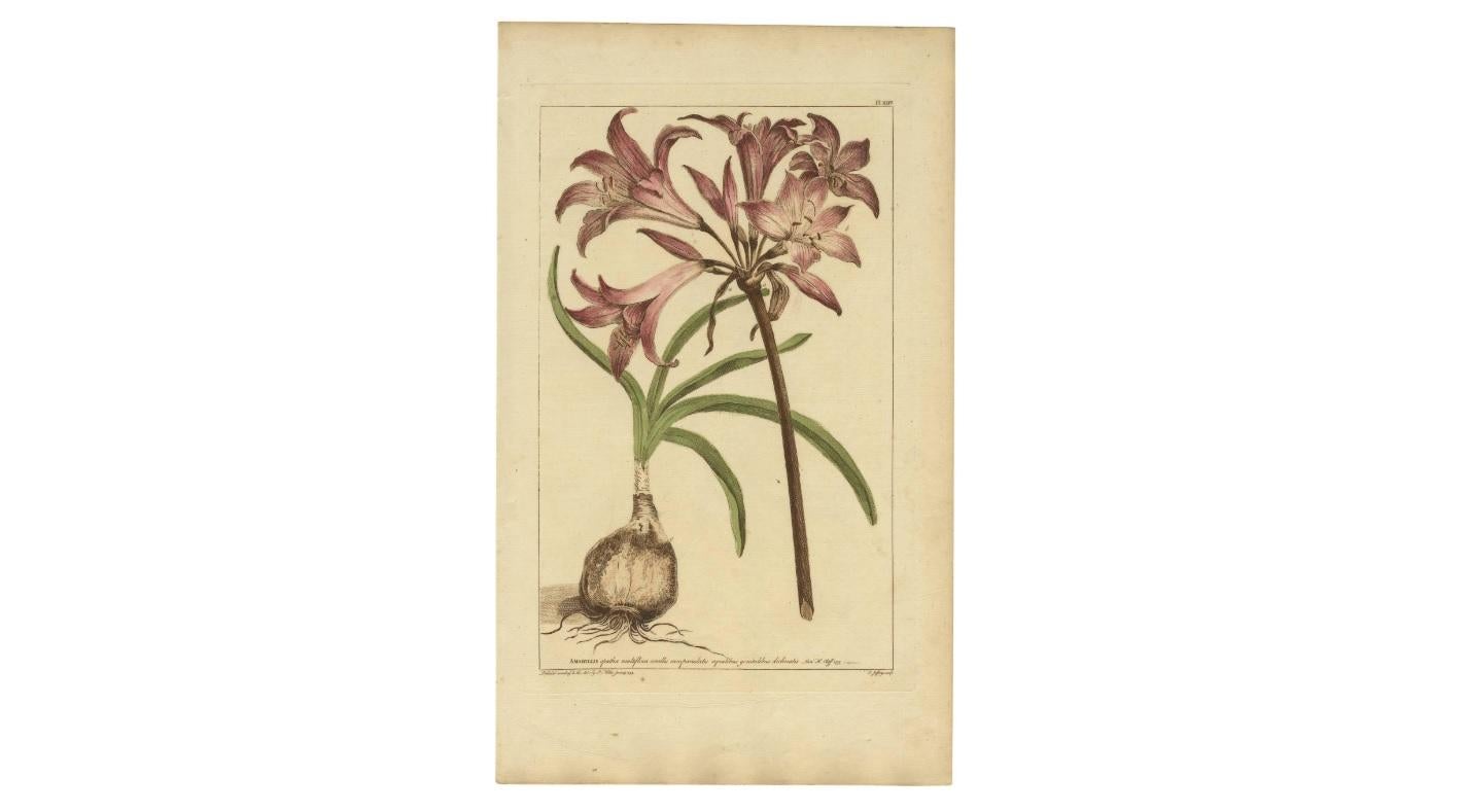 antique floral print