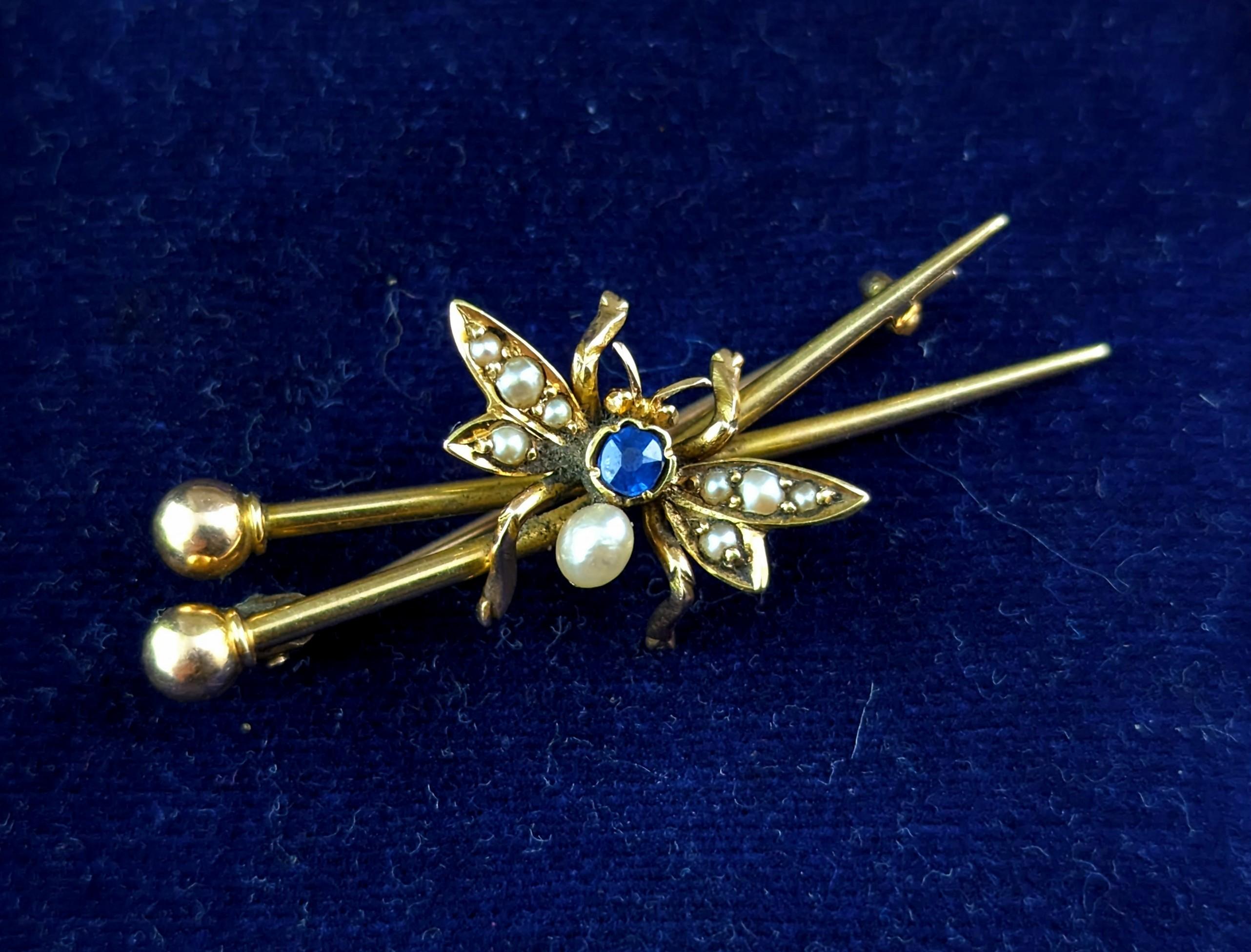 Victorian Antique fly brooch, crossed needles, 15k gold, Sapphire and pearl  For Sale