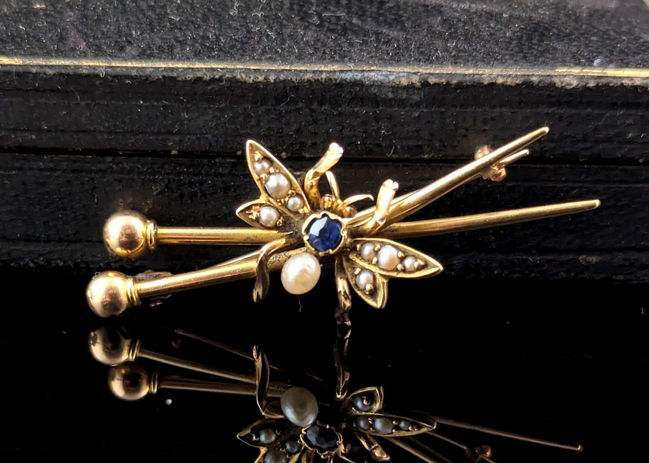 Women's or Men's Antique fly brooch, crossed needles, 15k gold, Sapphire and pearl  For Sale