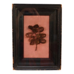 Antique Folk Art Framed Hair Art Flower Bouquet